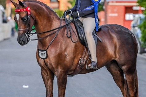 Riding on a high - feature photo