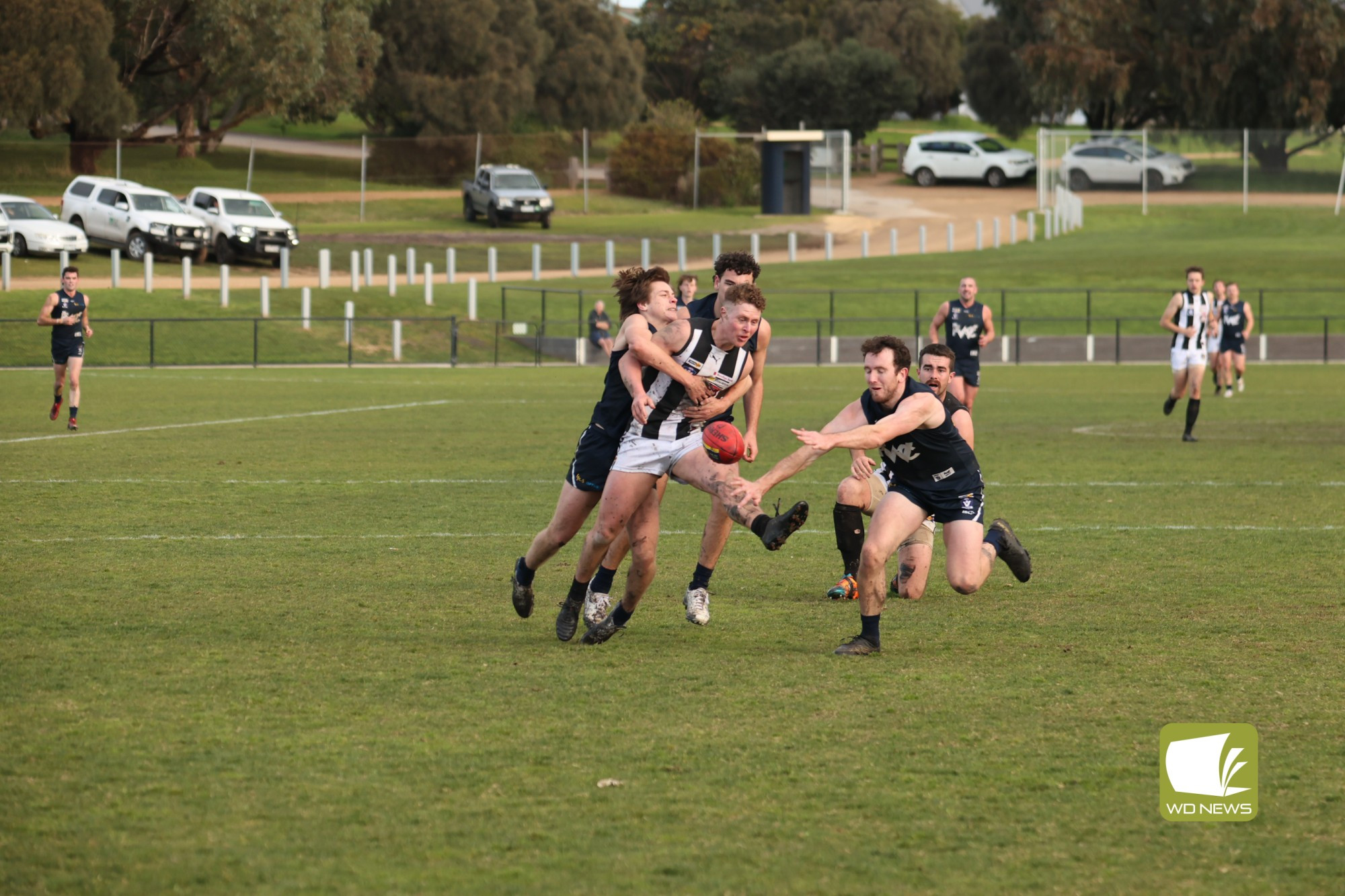 Magpies close in - feature photo