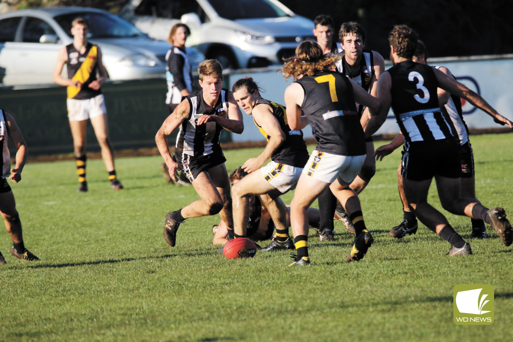 Milestones for Magpies - feature photo