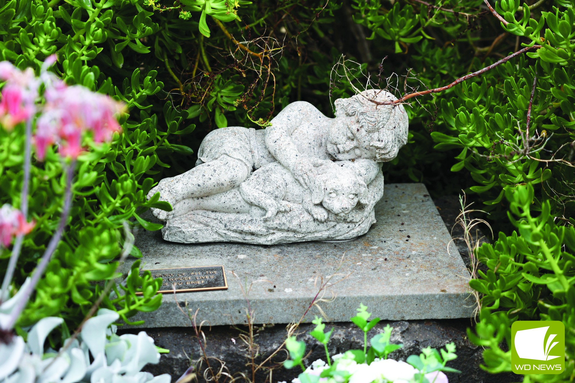 Investigation under way: Skipton Cemetery Trust hopes to find out what lies beneath the cemetery grounds.