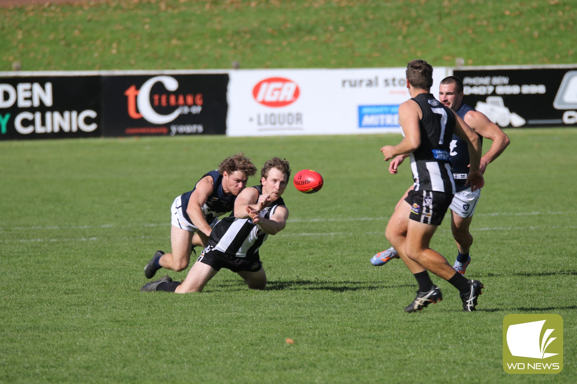 Magpies soar - feature photo