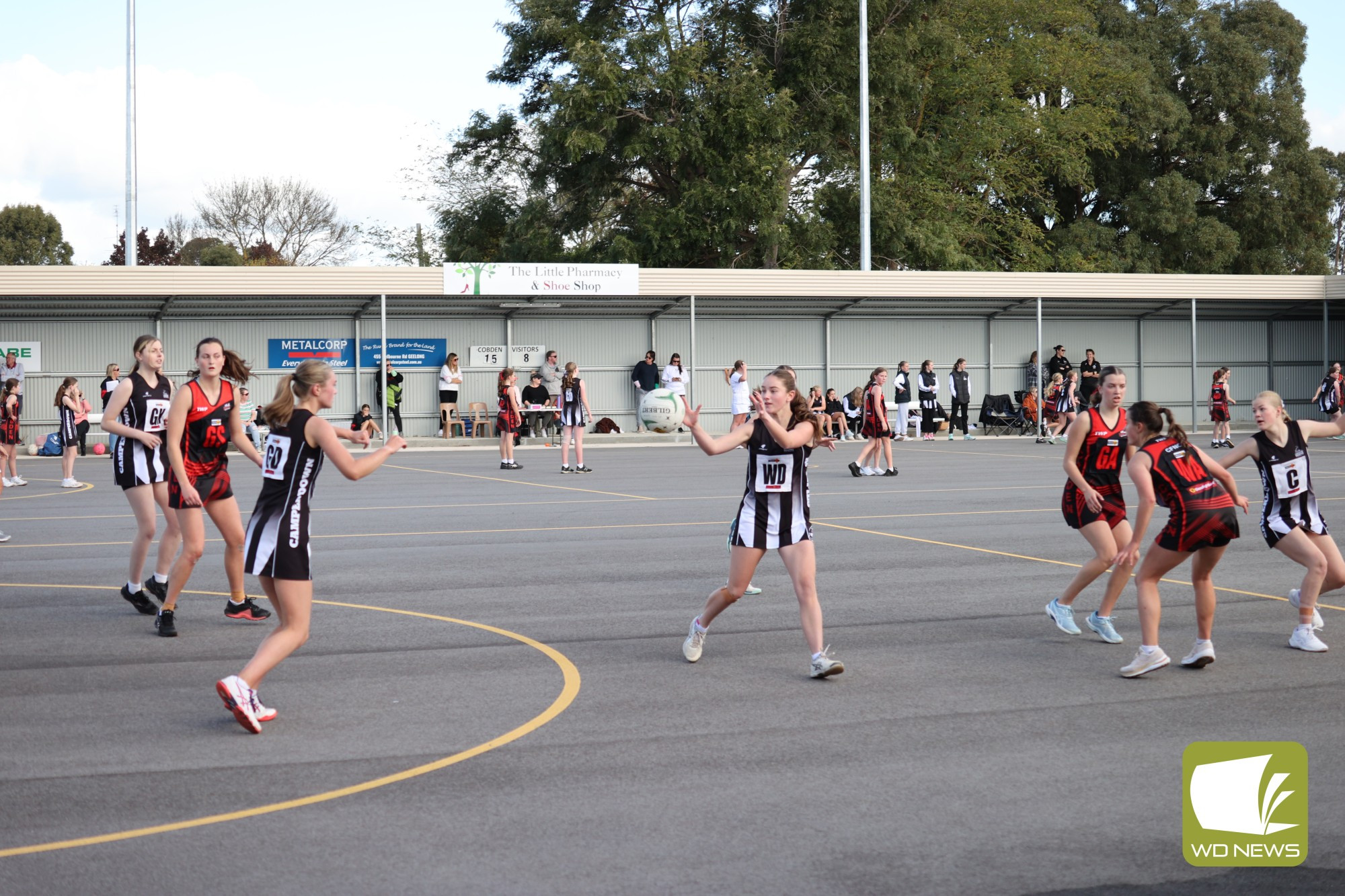 CAMPERDOWN JUNIOR NETBALL - feature photo