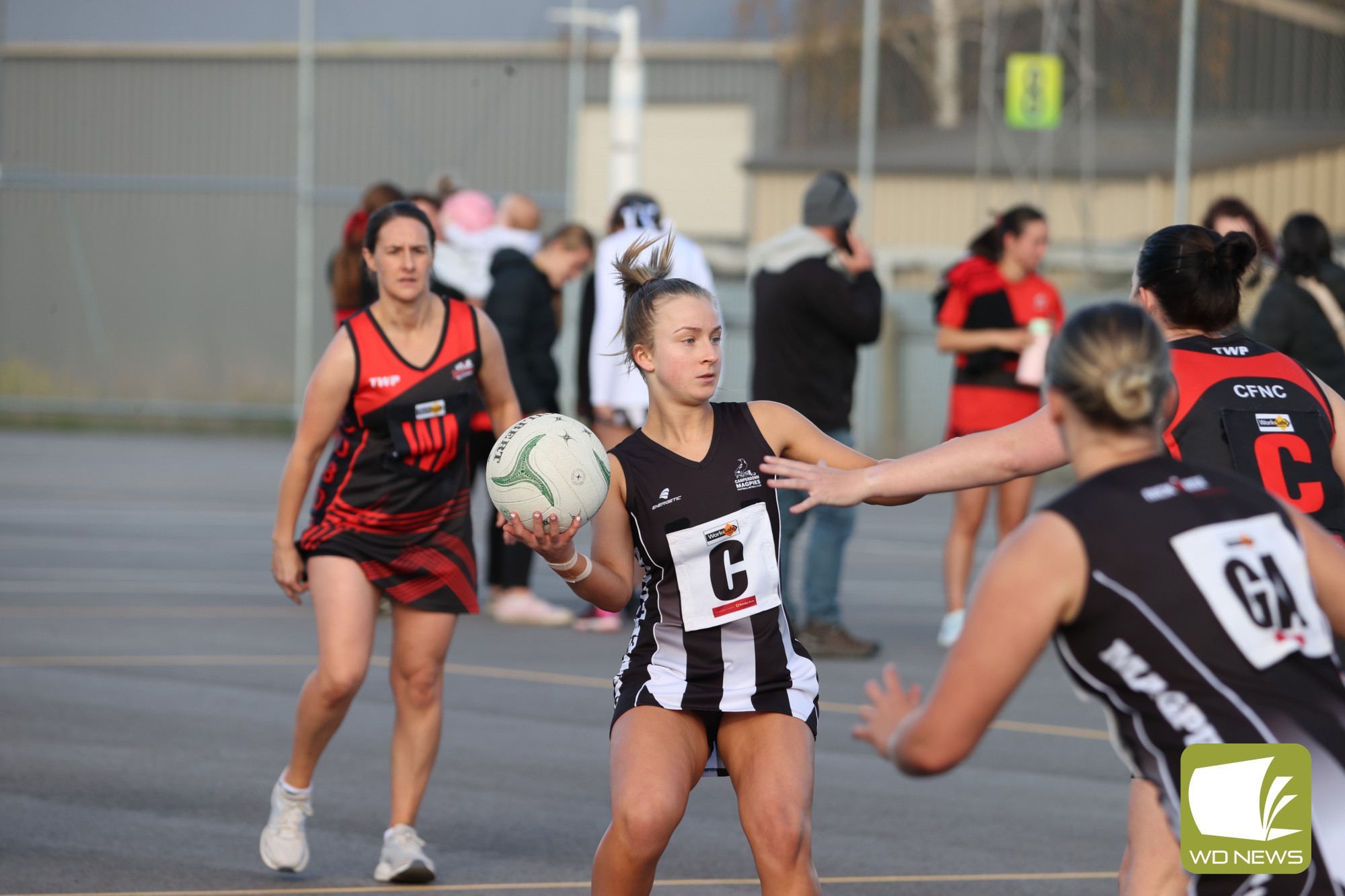 CAMPERDOWN SENIOR NETBALL - feature photo