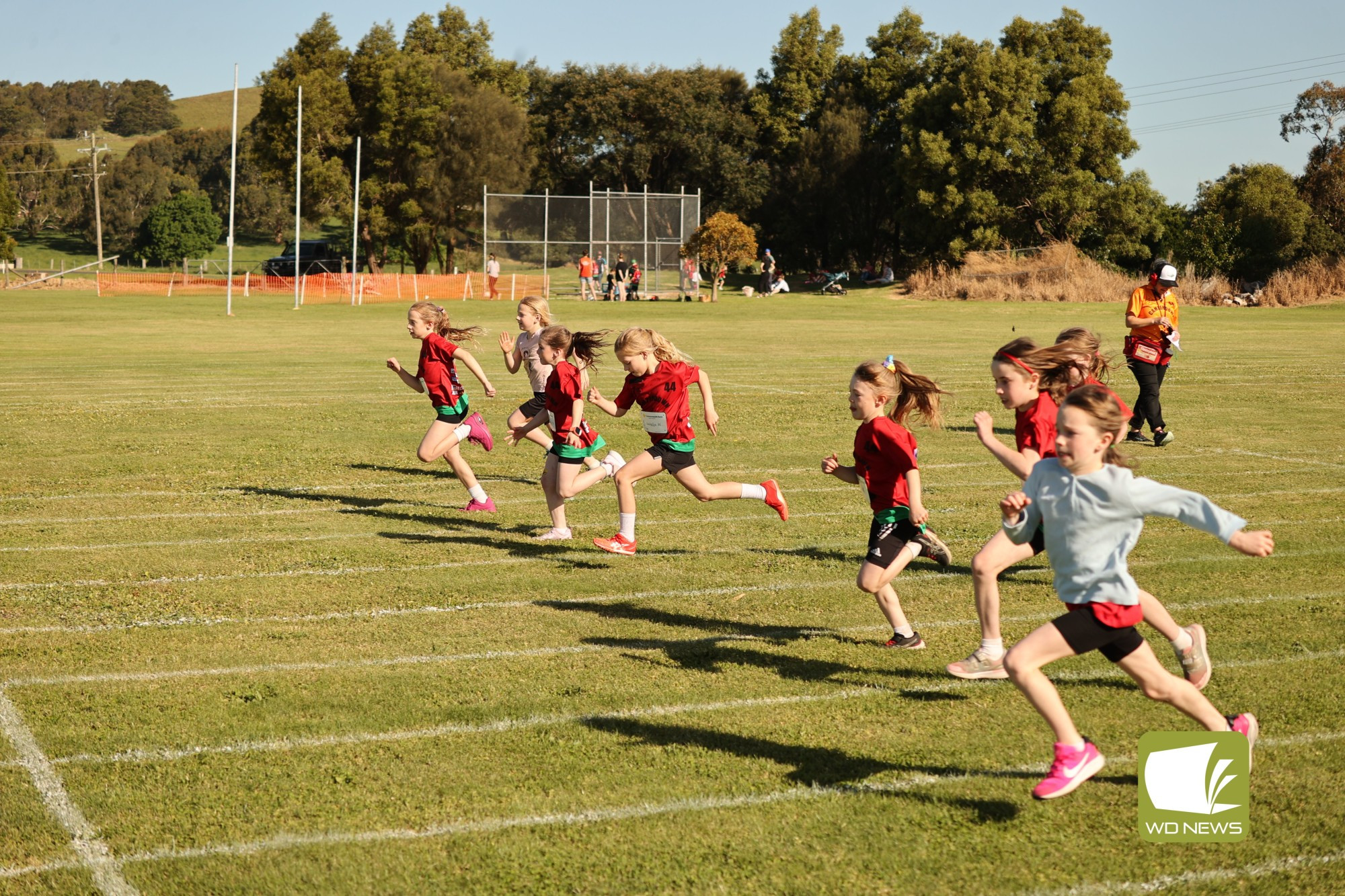 Strong performances at Little Athletics - feature photo