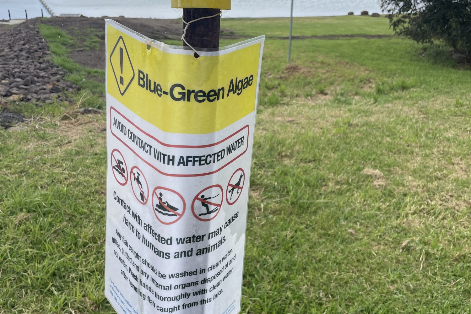 Suspected algae in Tooliorook, Bullen Merri - feature photo