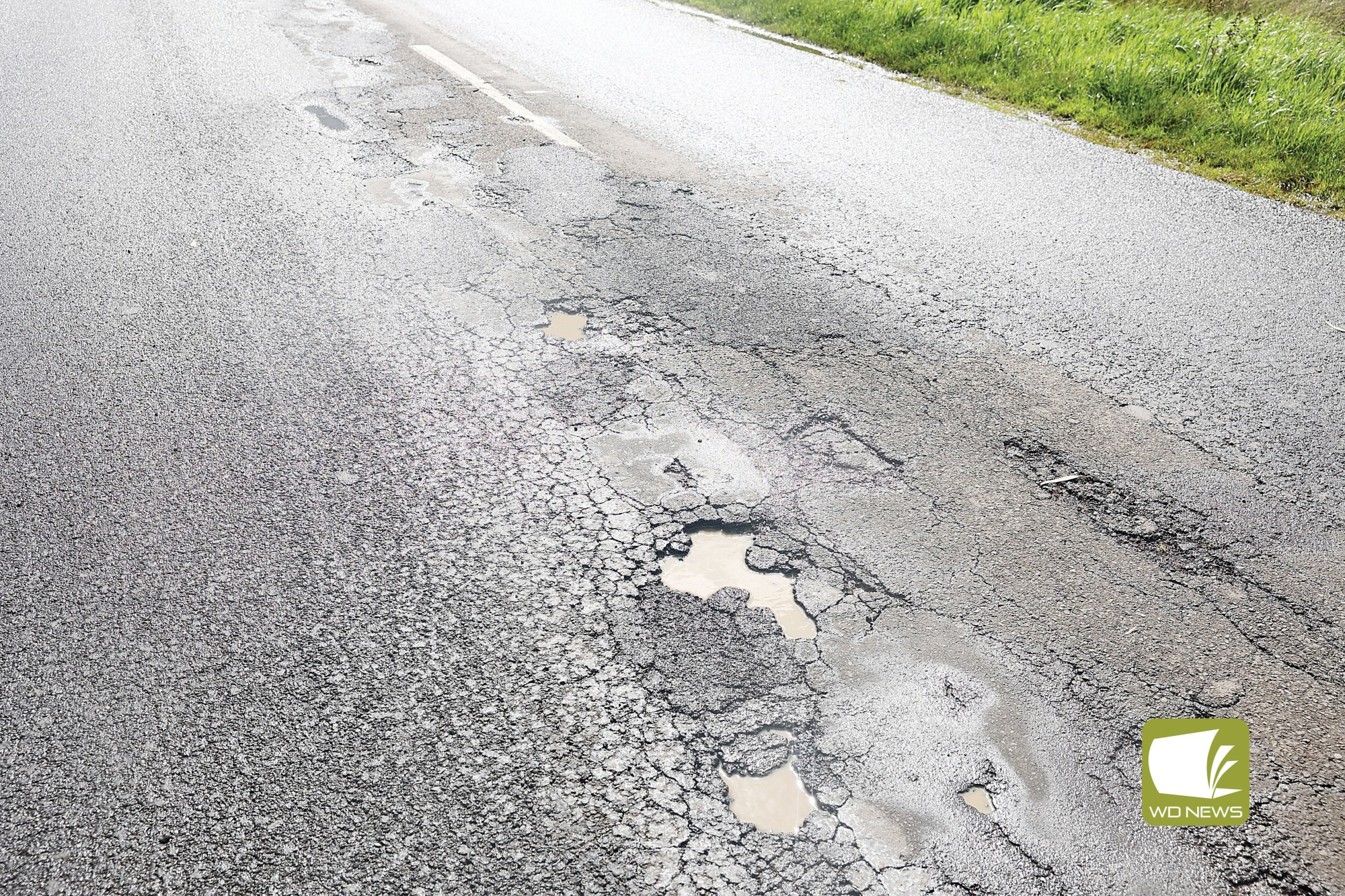 The Darlington “track”: Much of the Camperdown-Darlington Road has been reduced to 80 kilometres per hour due to potholes.