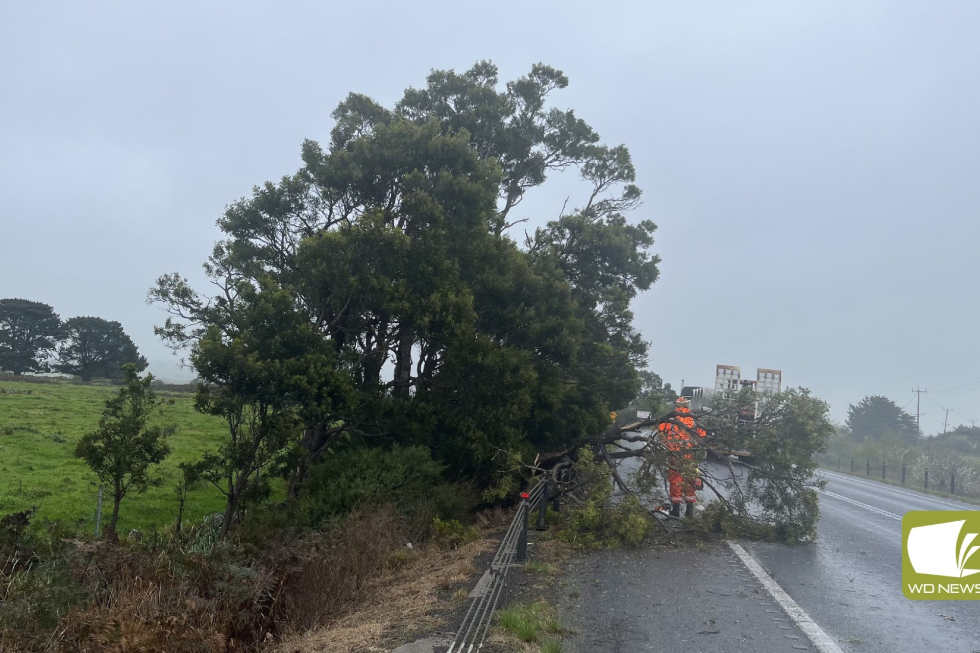 Helping out: Camperdown’s SES unit were one of many units answering calls for help during the storm on Friday, September 8, 2023