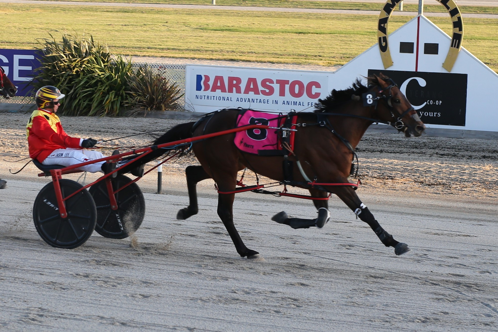 Local reinsman Xavier O’Connor guided Grey Cadillac to victory in the 2180-metre Maddens Lawyers Pace.