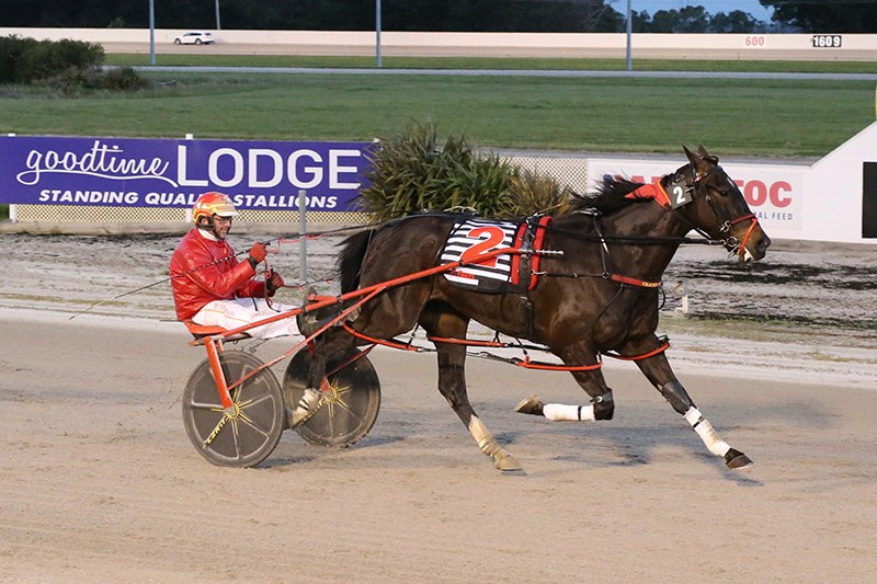 The Matthew Craven trained and driven All Jokers Todaright withstood a challenge to take out the Greavesy’s Fruit & Veg Pace.