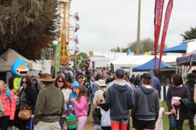 Popular: Thousands of people flocked to the Noorat Show on Saturday. 