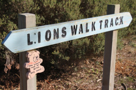 On display: Sharni Rieniets wooden teddy bears are also now on display around the Lions walking track. 