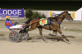 Travel Bug and James Herbertson made it back-to-back victories in $12,000 Terang Co-Op Rural Store Trotters Handicap. 
