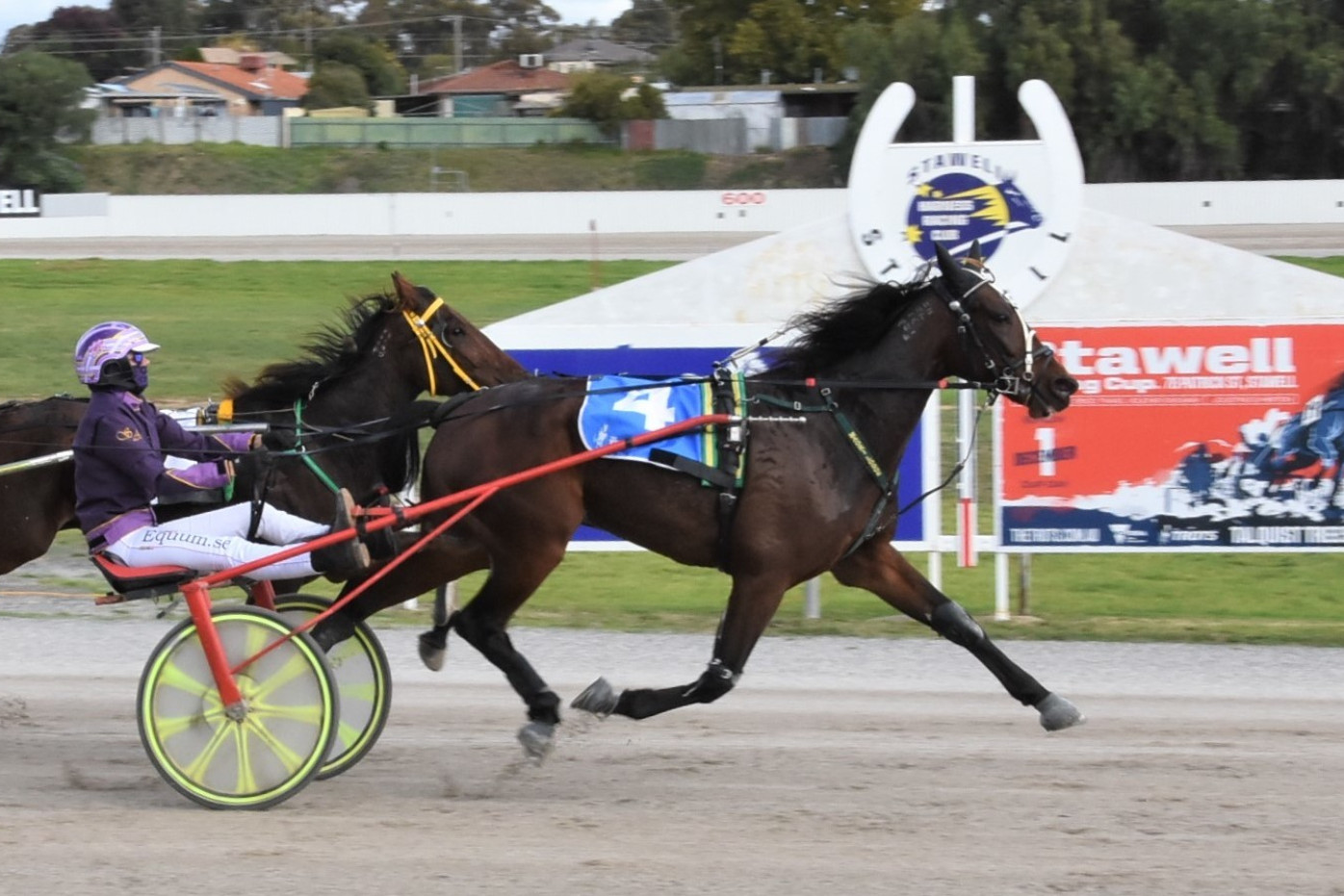 Gus An Maori and Sofia Arvidsson will be looking to return to the winners’ list for trainer Matthew Craven at Terang’s meeting tonight. Picture supplied by Claire Weston Photography