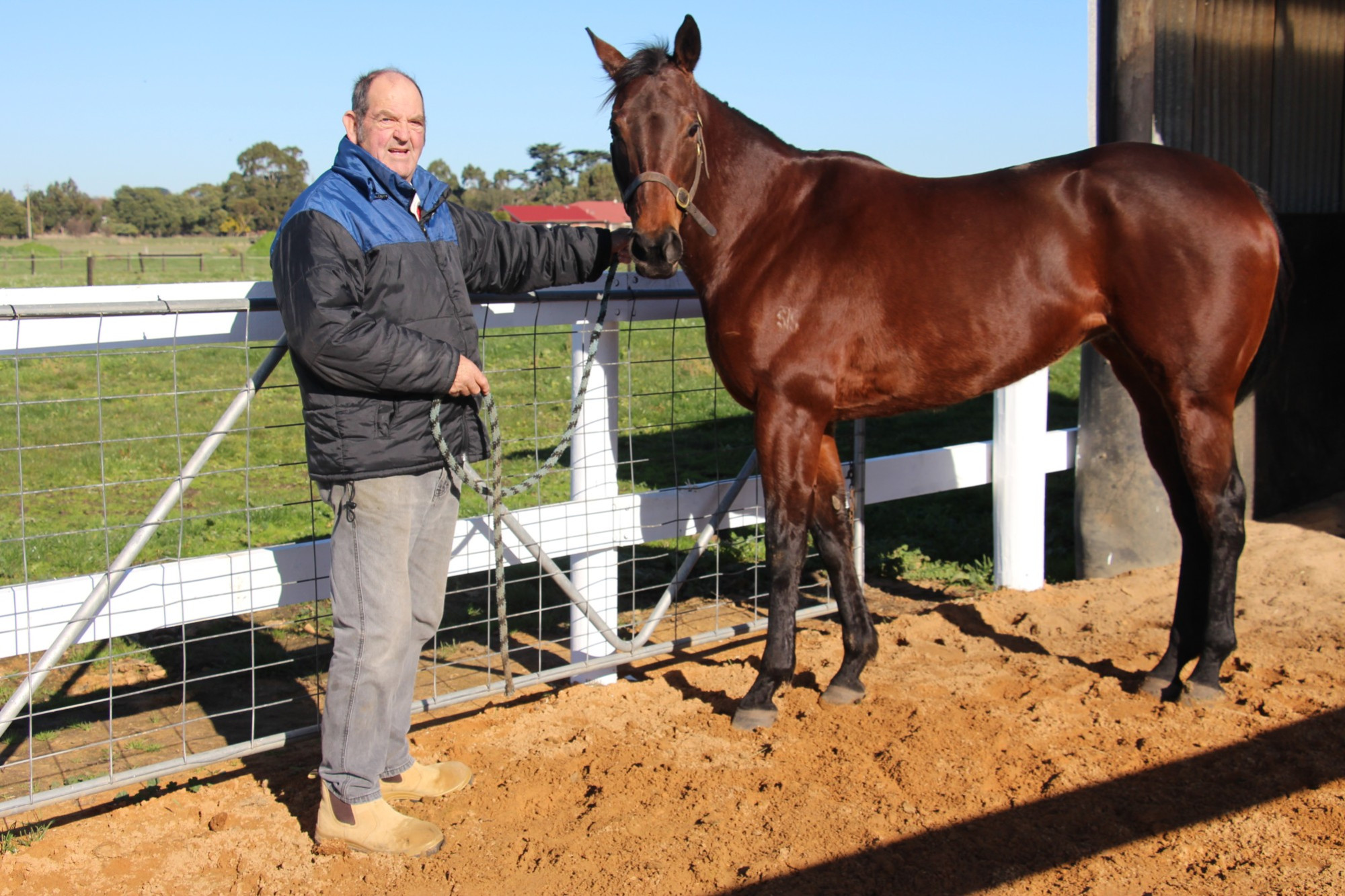 Noel Richards returned to the winners’ circle for the first time in 24 years when Niamh Chinn Oir saluted at Ballarat on Tuesday.