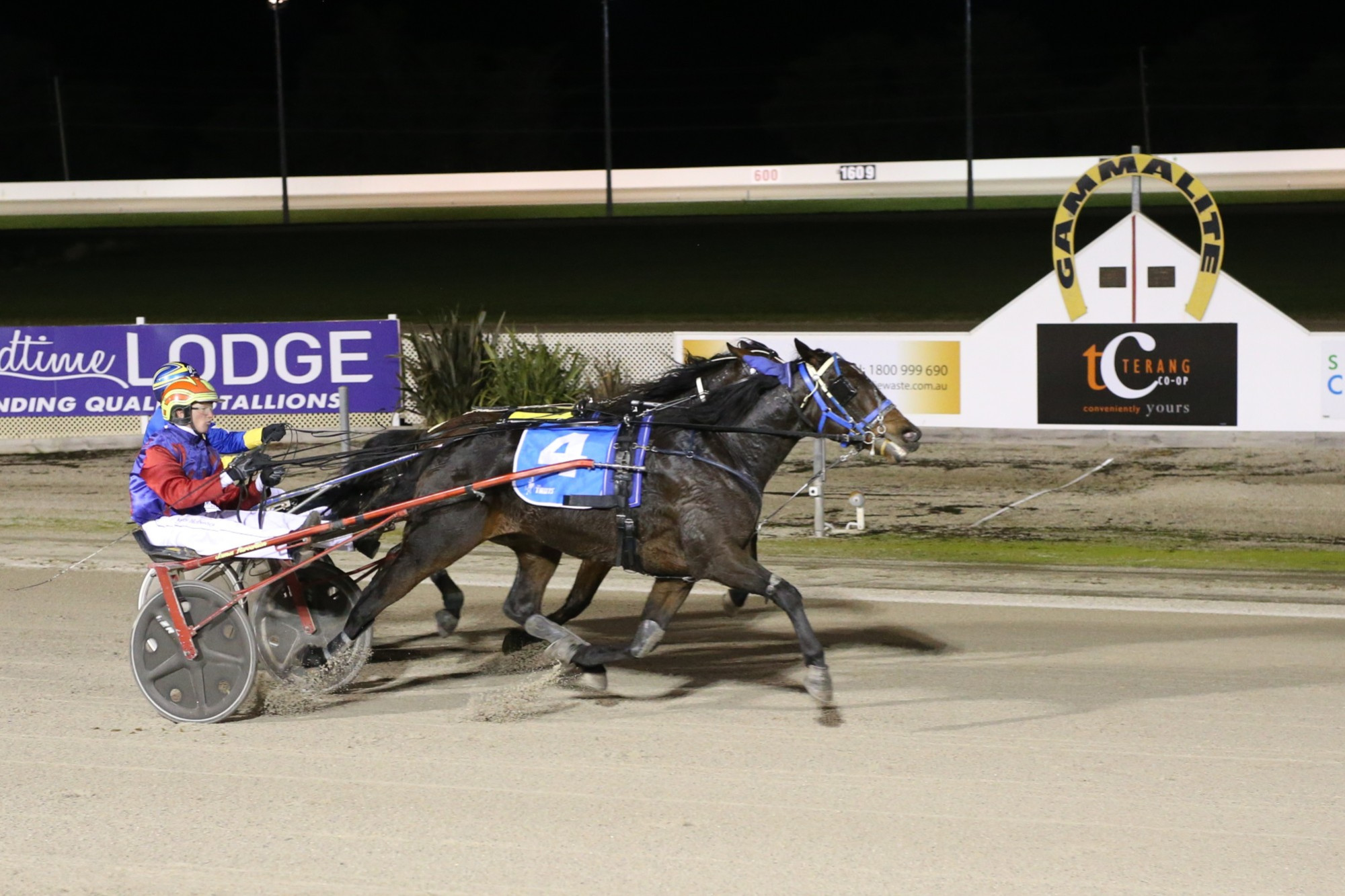 Allwatfunjingles and James Herbertson took out the Scanlon’s Dairy Centre Trot for local trainer Darren Cole last week.