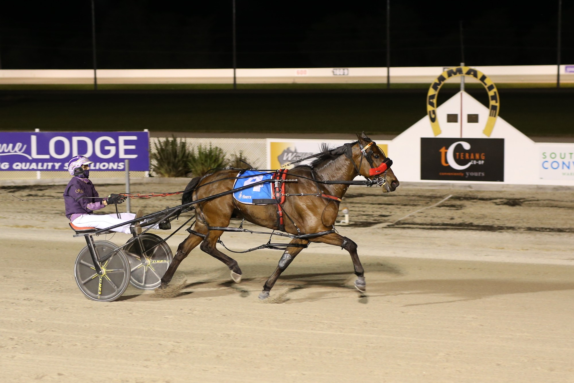 Arden Roanoke and Sofia Arvidsson took out the TAB Long May We Play Pace.