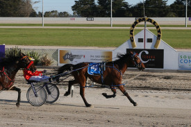 Jason Lee guides Bakers Bandit to victory in the South West Horse Transport Maiden Pace for Camperdown trainer Steve Lambert. 