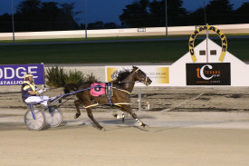 Steve Blacker guided the Aaron Dunn-trained Rollova to victory in the Terang Co-op Pace. 