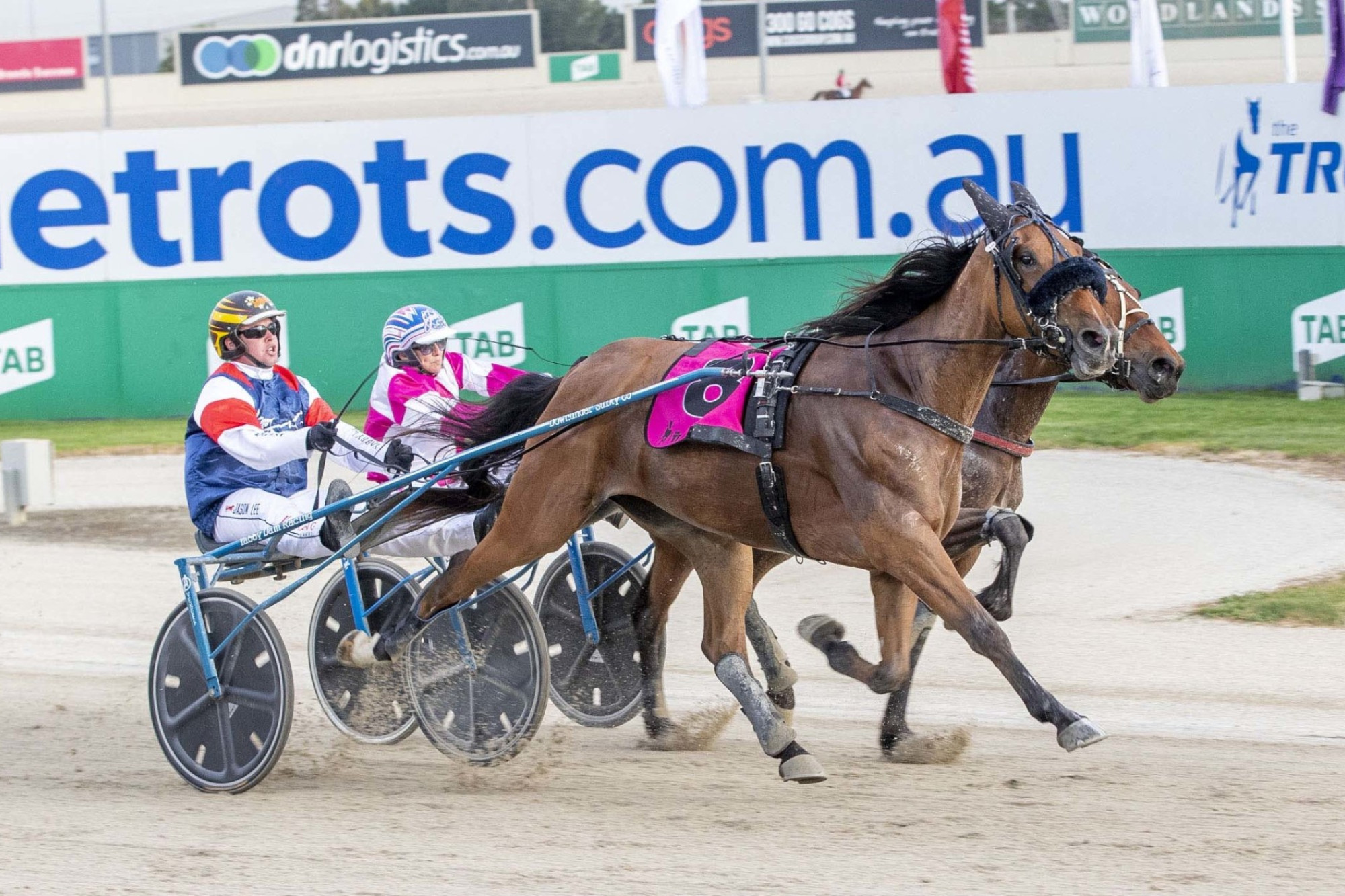 Jason Lee added another group one victory to his resume when he won the Breeders Crown final for three year-old trotting fillies aboard Im Ready Jet but it was claiming the first ever “The Gav” award which humbled him most. Picture supplied by Stuart McCormick/Harness Racing Victoria
