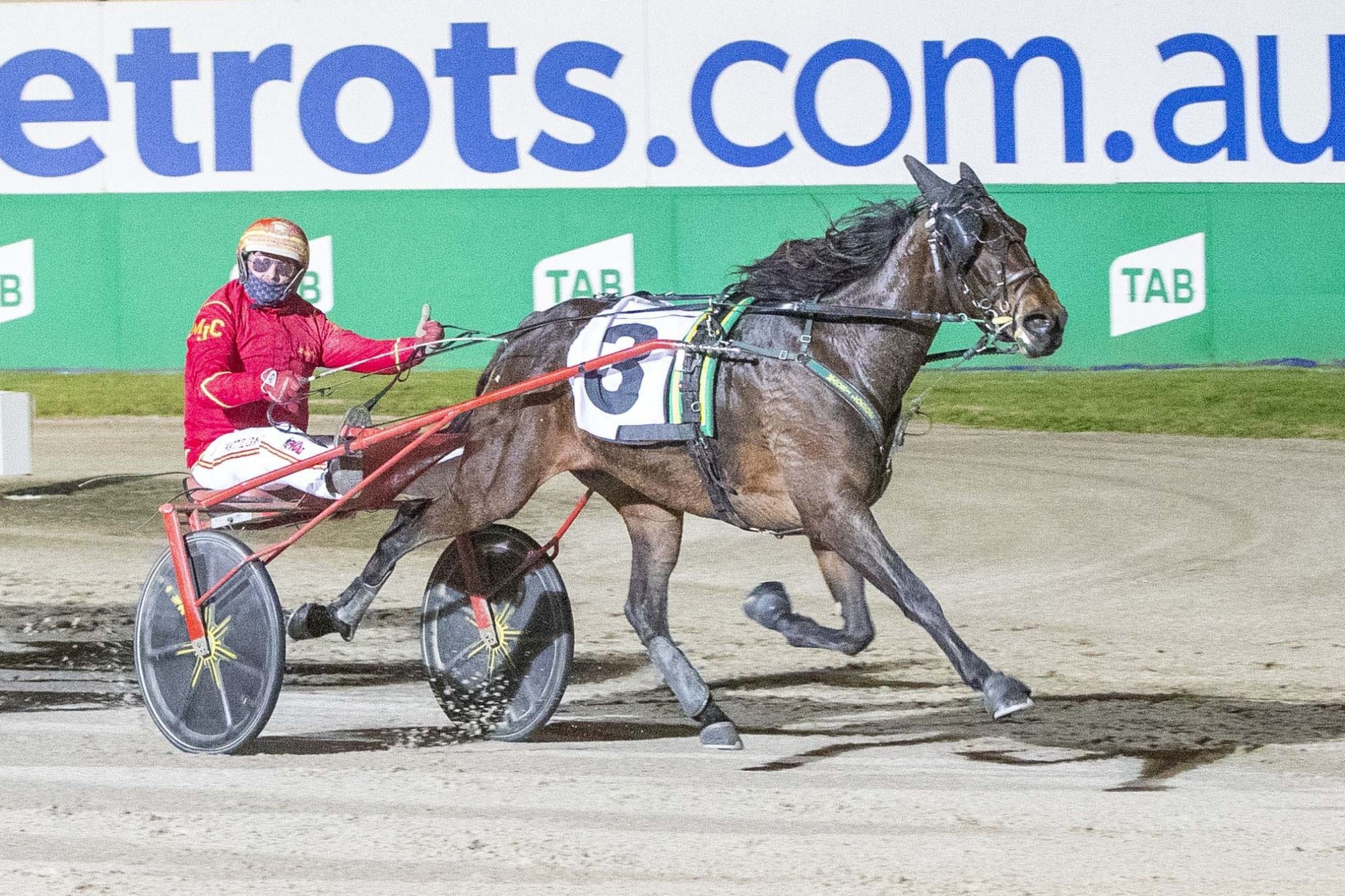 Pink Galahs and Matthew Craven will contest the $50,000 Bill Collins Sprint at Melton on Saturday night. Picture supplied by Stuart McCormick/Harness Racing Victoria