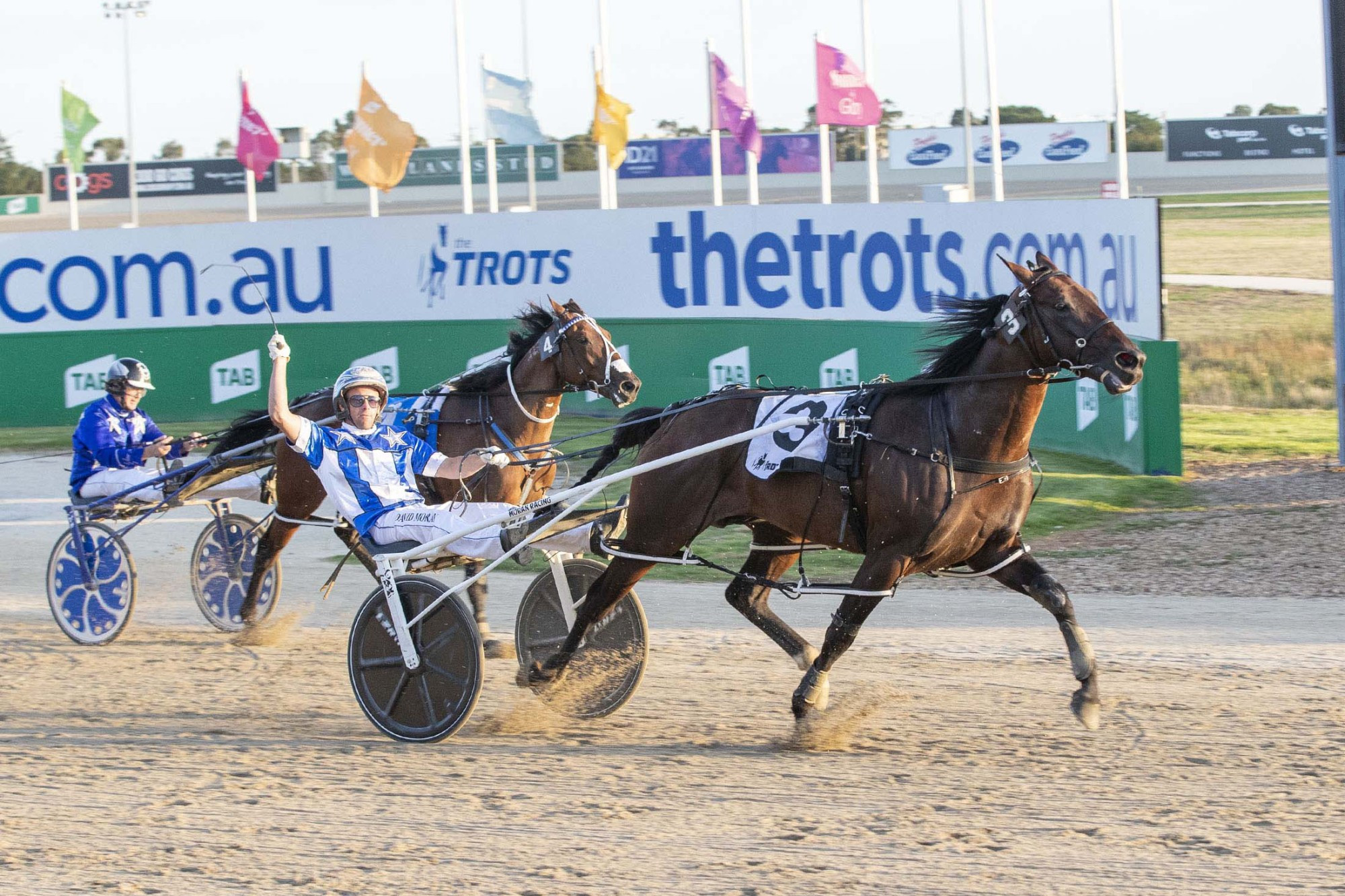 Terang Harness Racing Club officials are hoping a potential match race between Ride High (left) and Lochinvar Art takes place at Dalvui Raceway next Saturday night. The club is set to stage a metropolitan class meeting headlined by the $30,000 Christian Bus Gammalite Pace. Pictures supplied by Stuart McCormick/Harness Racing Victoria