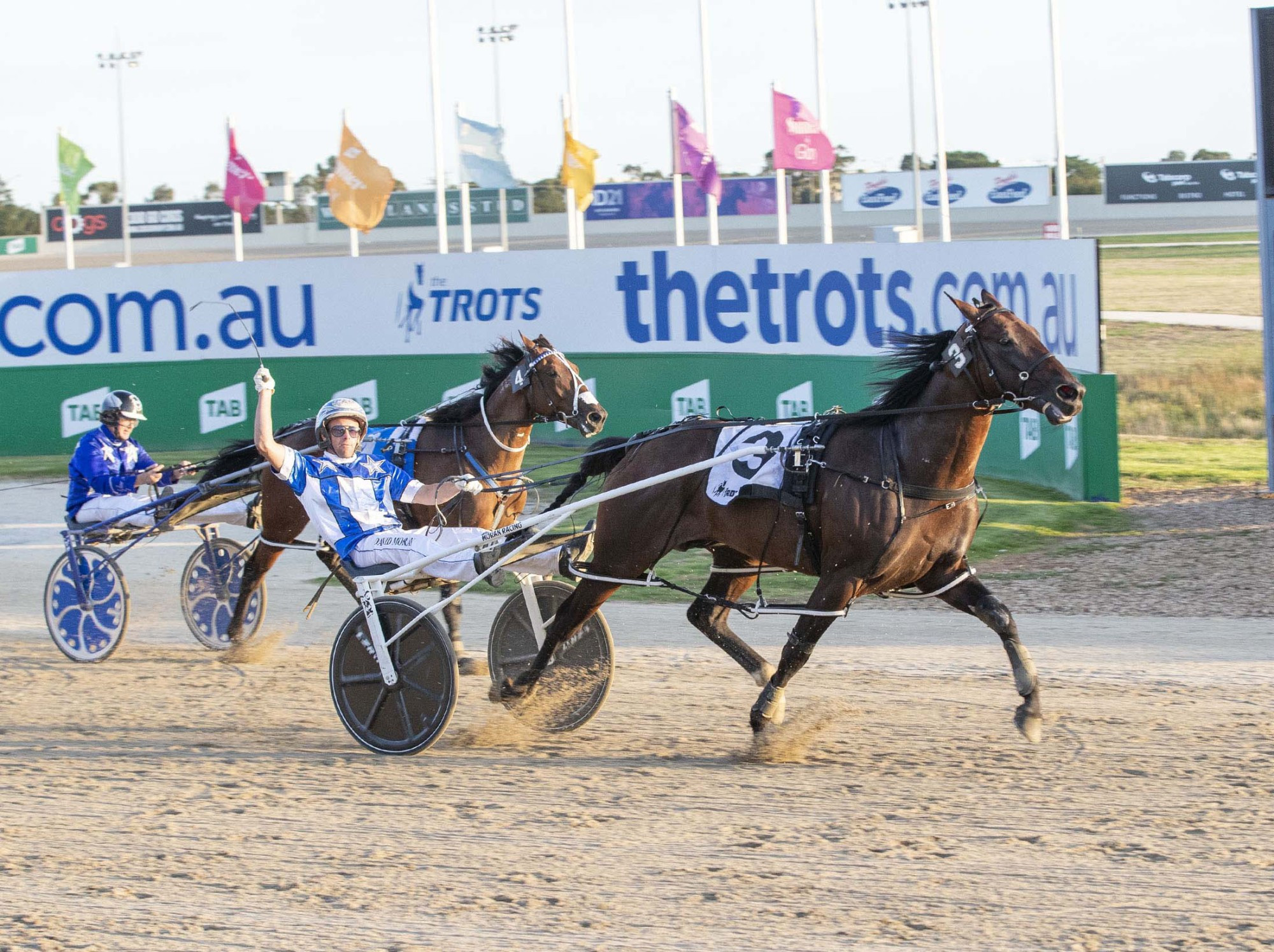 Terang Harness Racing Club officials are hoping a potential match race between Ride High (left) and Lochinvar Art takes place at Dalvui Raceway next Saturday night. The club is set to stage a metropolitan class meeting headlined by the $30,000 Christian Bus Gammalite Pace. Pictures supplied by Stuart McCormick/Harness Racing Victoria