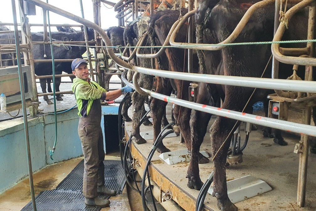 Congratulations: Garvoc’s Isaac Hose has been rewarded for his commitment to both his work as a farmer as well as his education at the Great South West Dairy awards.