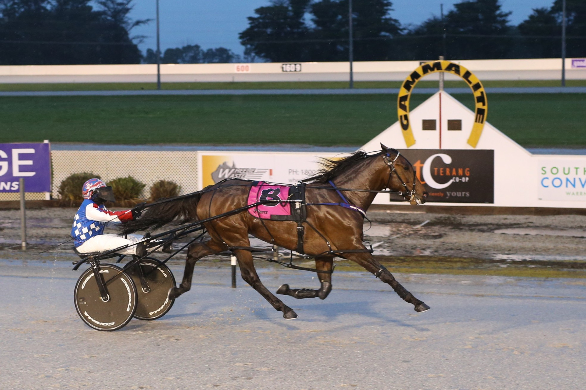 Ride High and Kate Gath cruised to victory in Terang Harness Racing Club’s feaure event, the $30,000 Christians Bus Gammalite Pace on Saturday night.