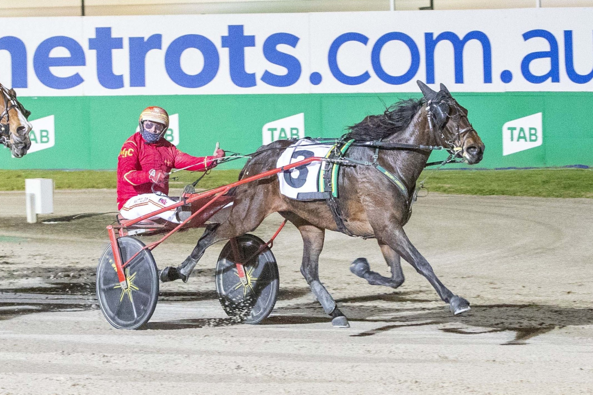 Pink Galahs and Matthew Craven hit the line first in the group three Sumthingaboutmoari Trotters Free For All at Melton on Saturday night. Picture supplied by Stuart McCormick/Harness Racing Victoria