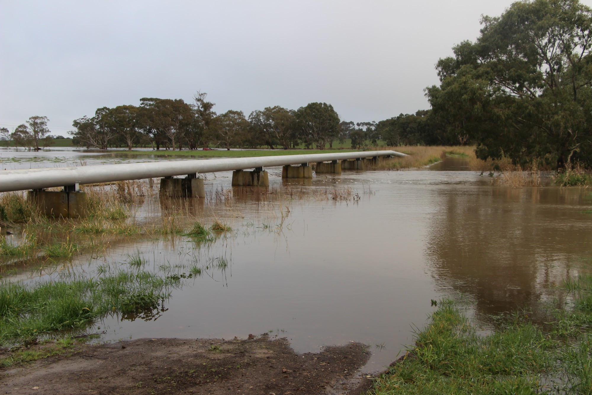 Drive with caution: A local man has spoken about the harrowing experience of being washed away in flood waters while driving along Bend Road in Cobrico last Thursday night.