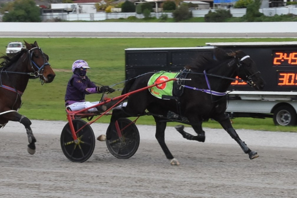 Ready to go: Kowalski Analysis and Sofia Arvidsson, pictured winning at Stawell last year, will team up once again in the $250,000 group one The Rising Star in Queensland this Saturday. Picture supplied by Claire Weston Photography