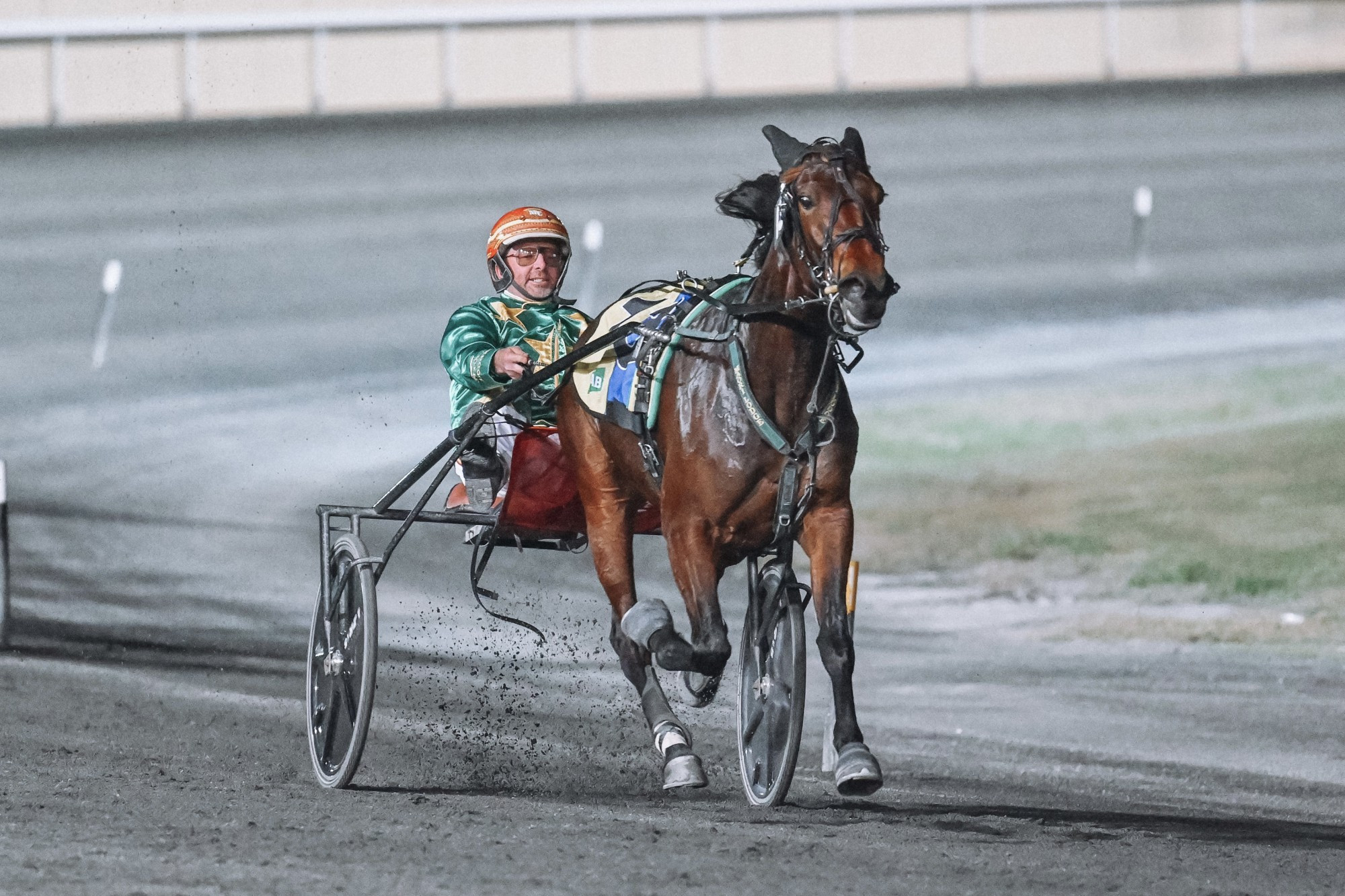 Headline act: Pink Galahs and Matthew Craven enscapulated the harness racing world once again on Saturday night when they claimed the group one Darrell Alexander Trotting Championship at Brisbane’s Albion Park. Pictured supplied by The Creek APHRC Kate Butt