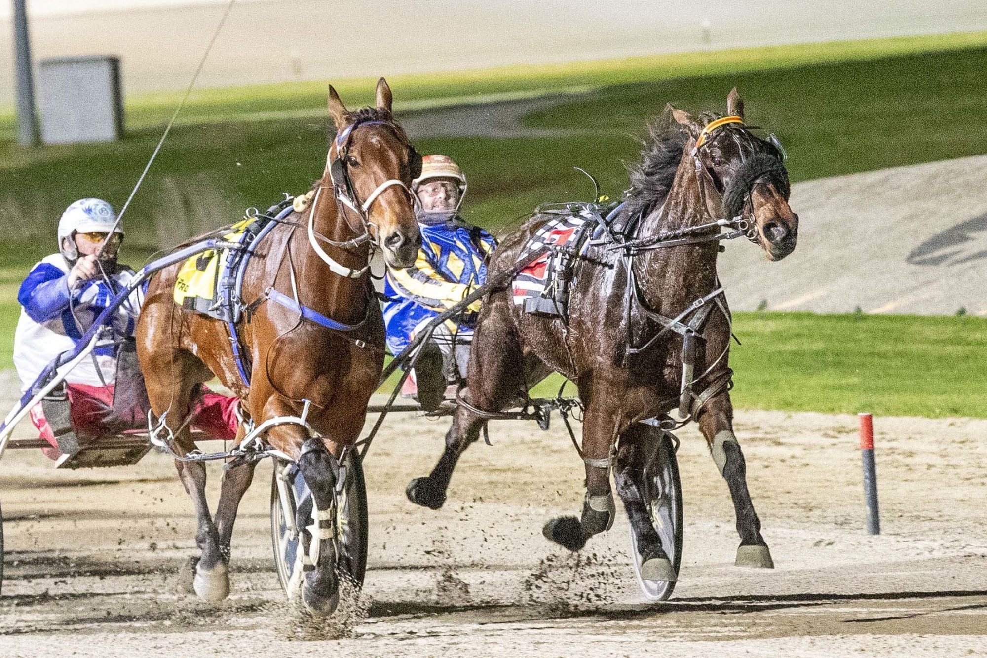 Gritty win: Itzamajor Surprise and Matthew Craven (right) claimed a narrow victory in the DNR Logistics Pace at Melton last Saturday night. Picture supplied by Stuart McCormick/Harness Racing Victoria
