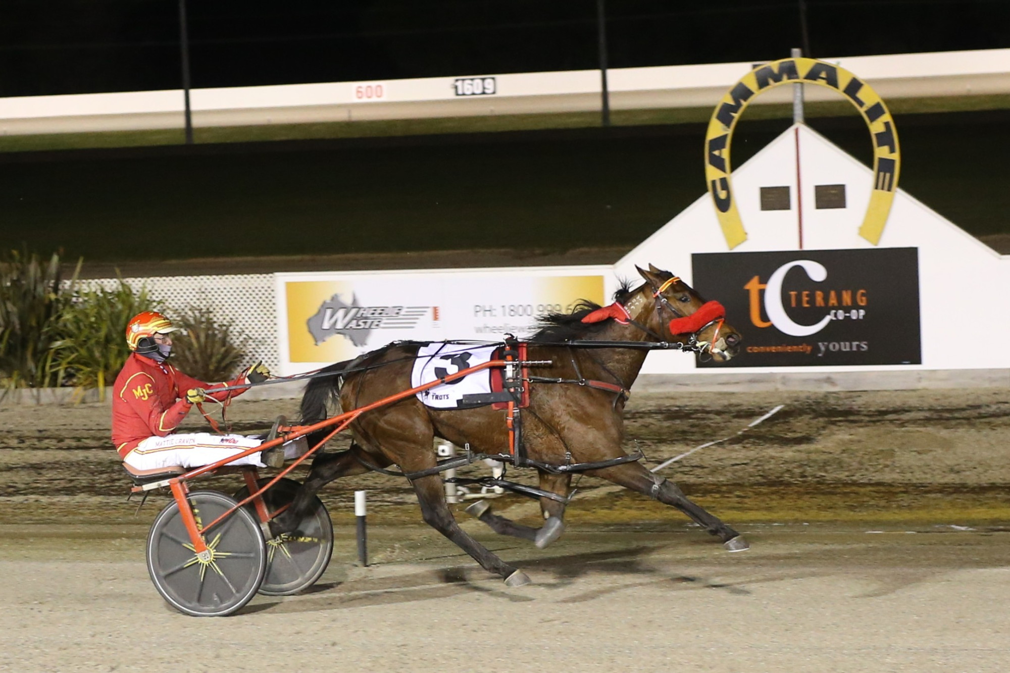 City test: Three year-old colt Lamandier will head to Melton this Saturday to contest the Woodlands Stud pace for Ecklin trainer Matthew Craven.