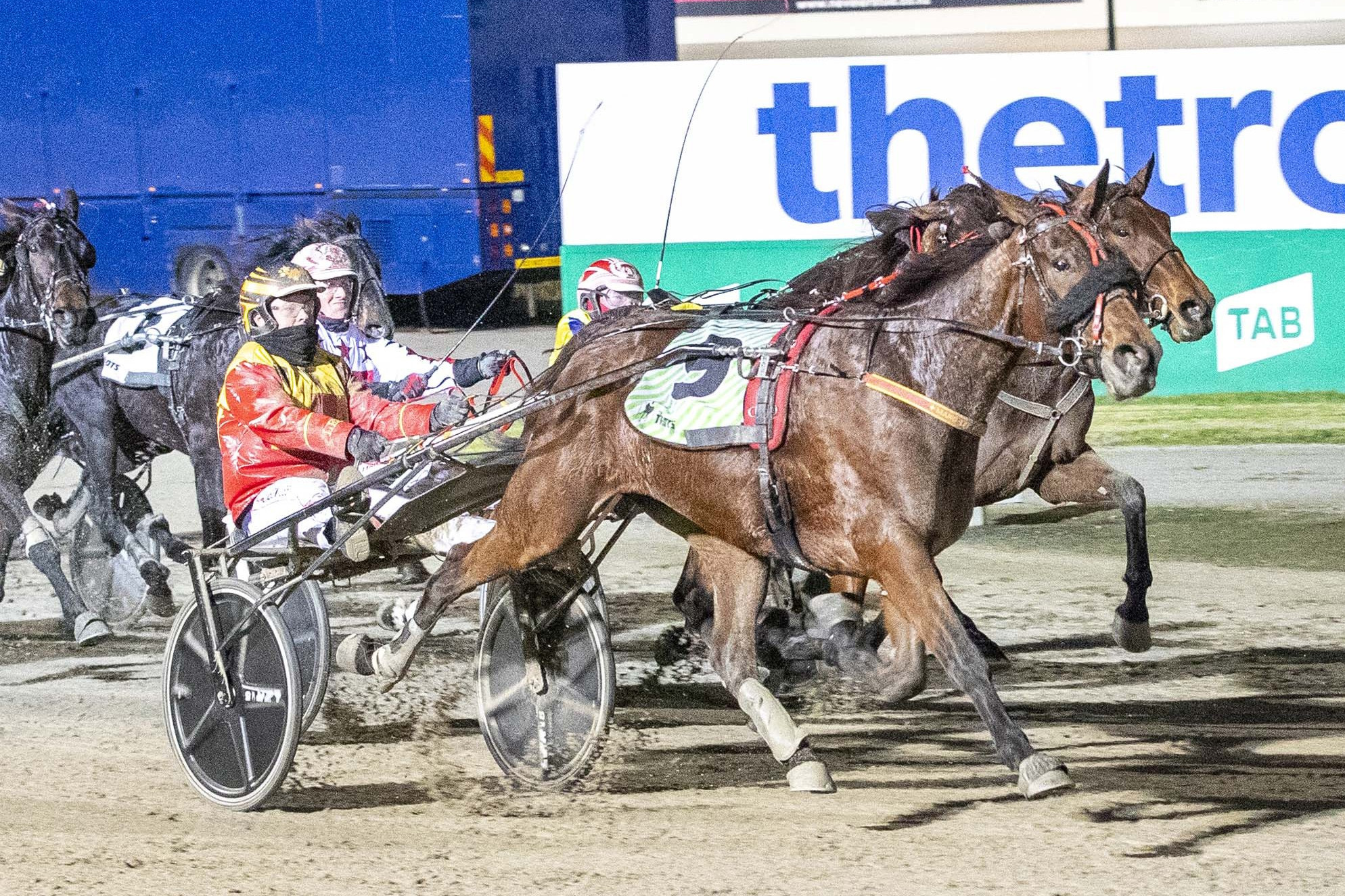 Classy performance: Keayang Livana produced a strong showing on return from a spell, winning the group three La Coocaracha Trotters Free For All at Melton last Saturday night for local trainer and driver combination Marg and Jason Lee. Picture supplied by Stuart McCormick/Harness Racing Victoria