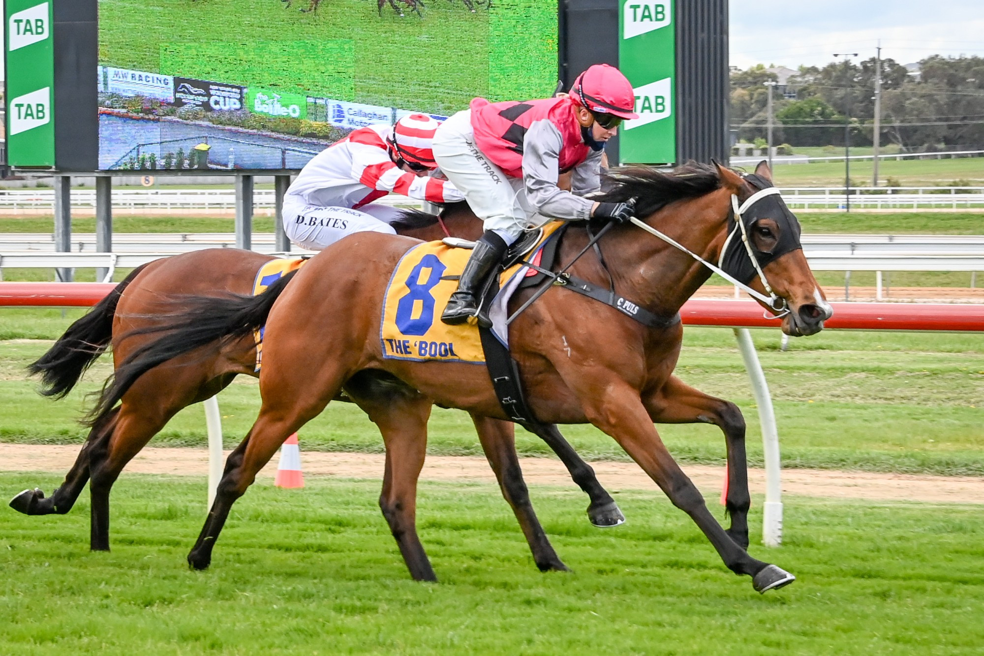 Winner winner: Southfield and Christine Puls stormed to victory in a 1700 metre maiden plate for Terang trainer Jamie Barry last Thursday. Picture supplied by Alice Miles/Racing Photos