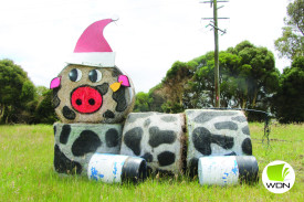 This creative display on the Princes Hwy, just outside Garvoc, has drawn viewers. 