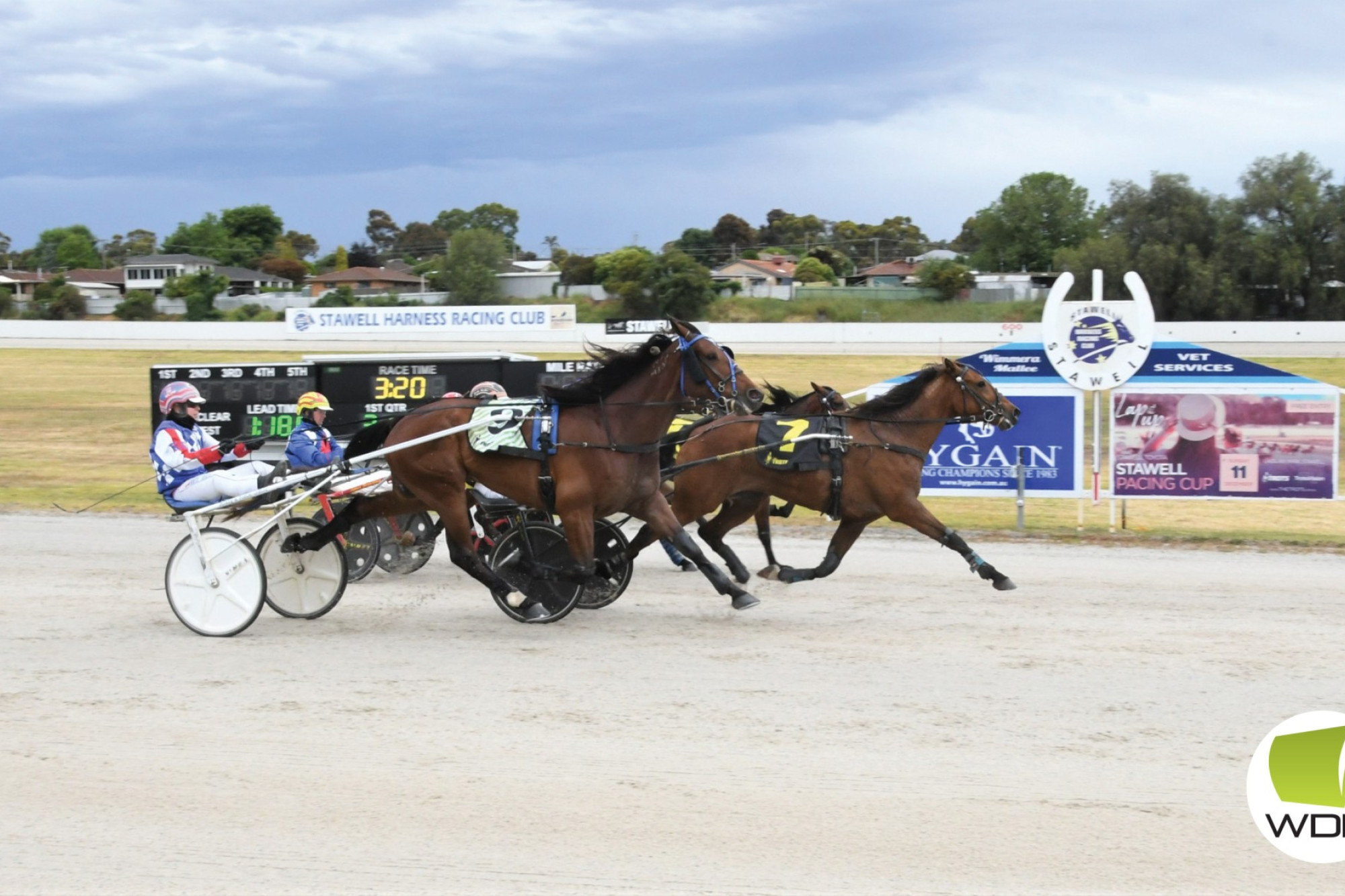 Archleo crosses the post to take the Stawell Trotters Cup.