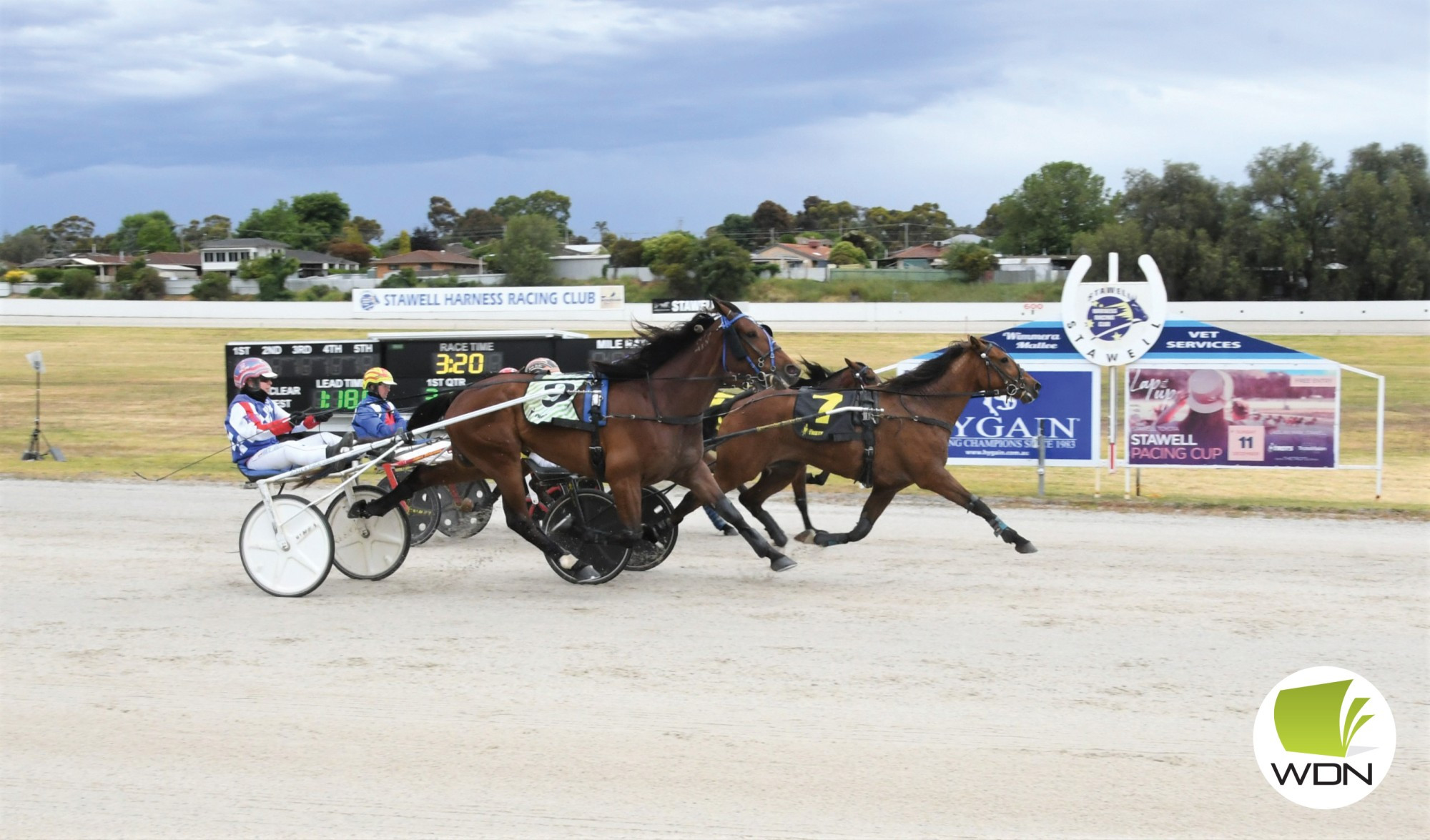 Connections celebrate Archleo’s victory at Stawell.