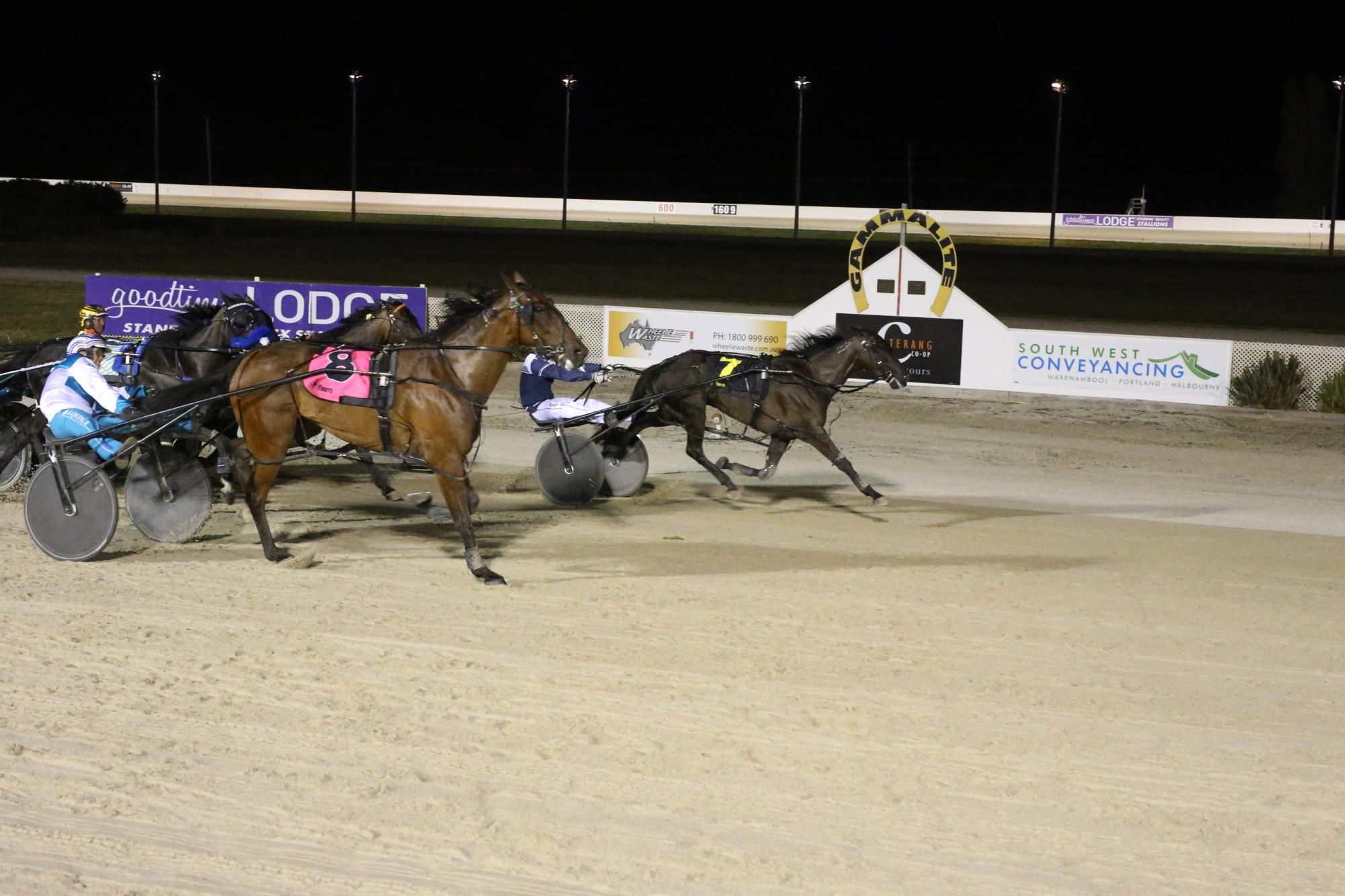 Like A Wildfire pips Phoenix Prince at the post to win by a neck.
