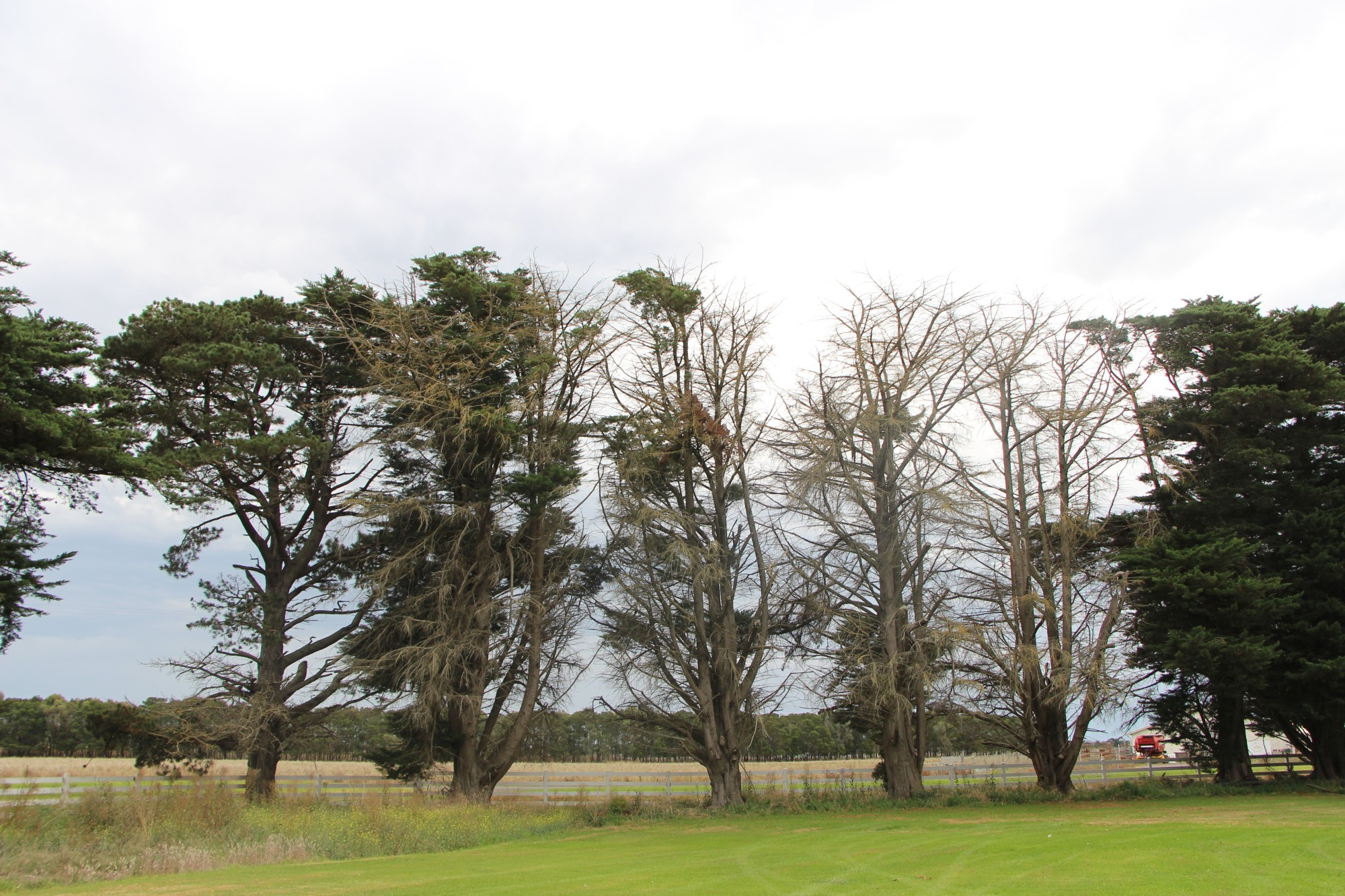 Rainfall results: Terang and Mortlake experienced rainfall above the long-term average during June.