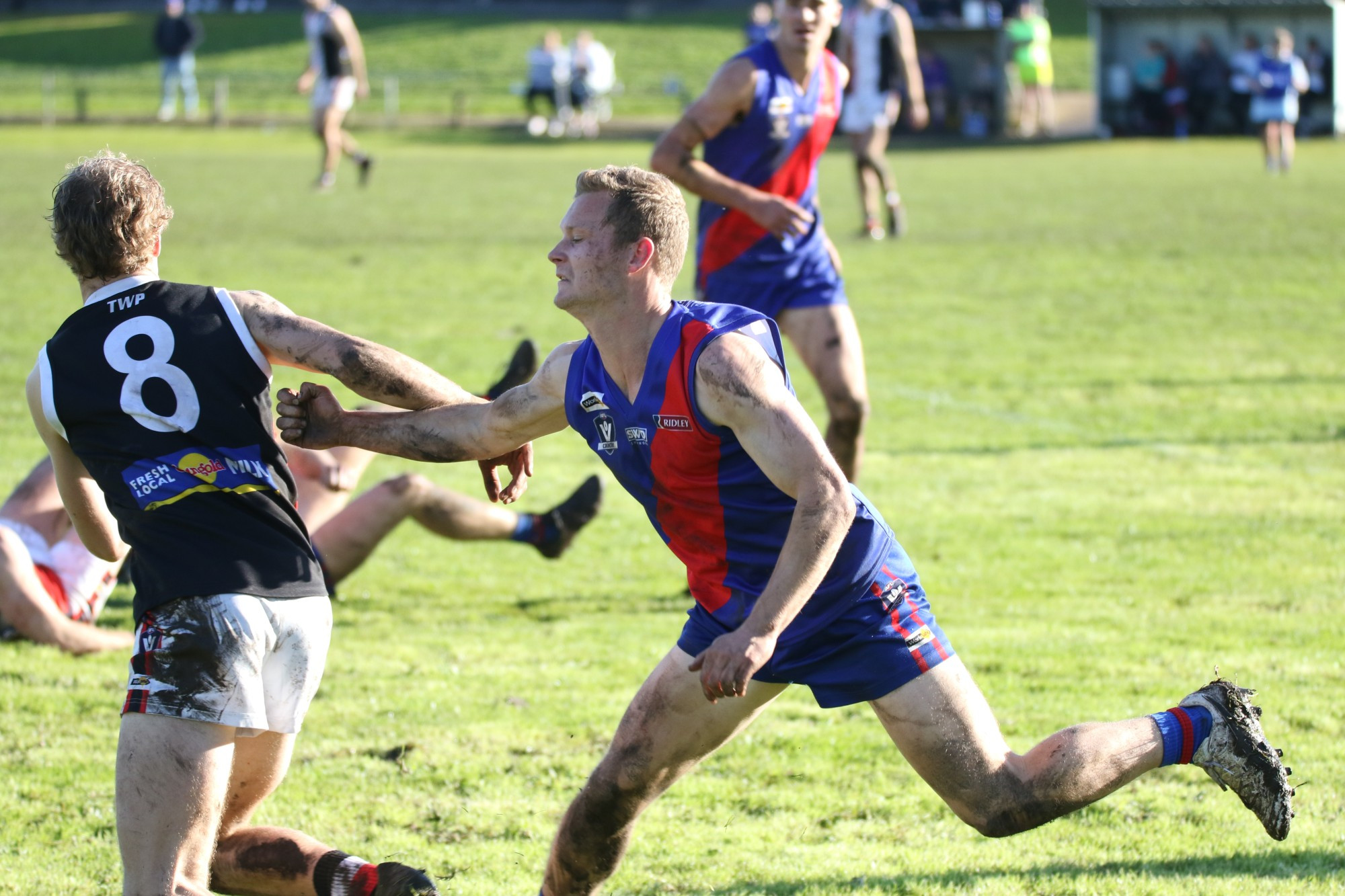 Koroit too strong for Bloods - feature photo