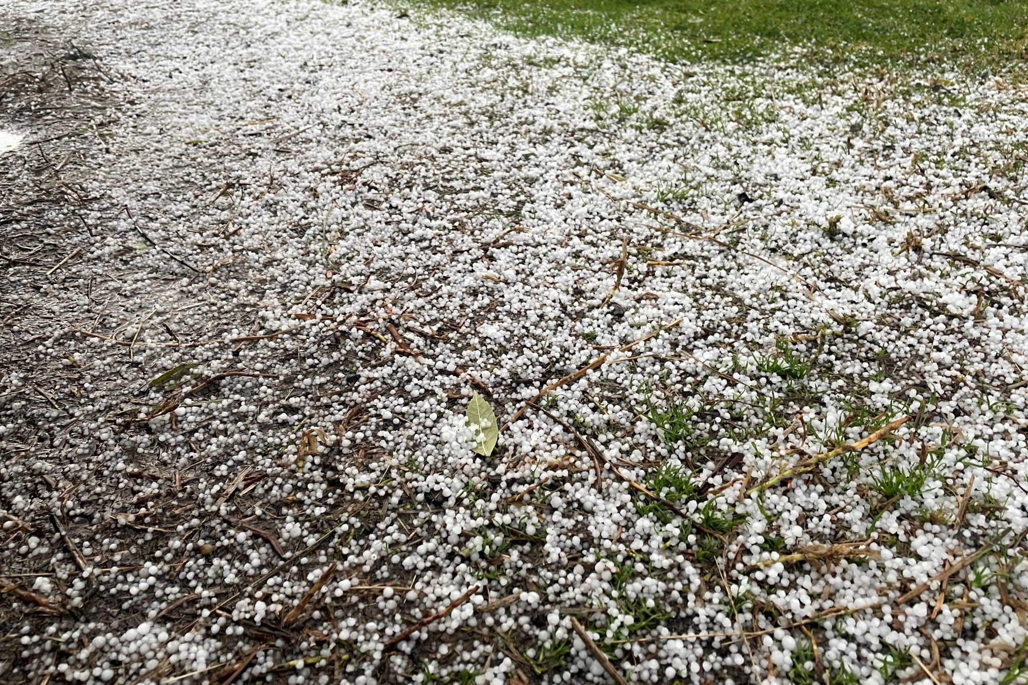 Rainfall: Terang and Mortlake experienced rainfall below the long-term average during May, but a cold snap on the final day of the month caused hailstones to give the illusion it was snowing in Terang.