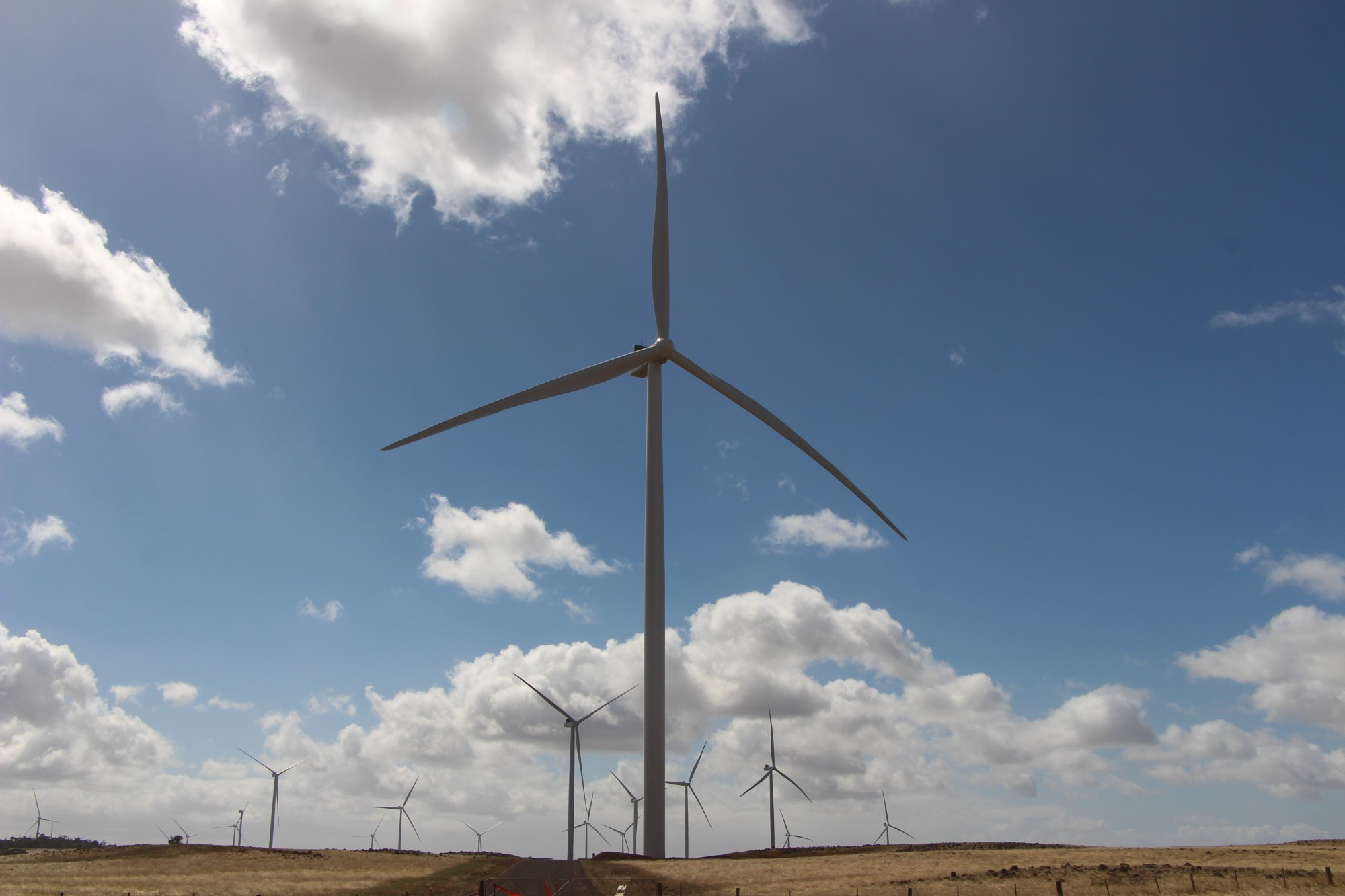 Funding flows: Eight community groups have shared in $25,000 funding under the first round of the 2022 Dundonnell Wind Farm community found.