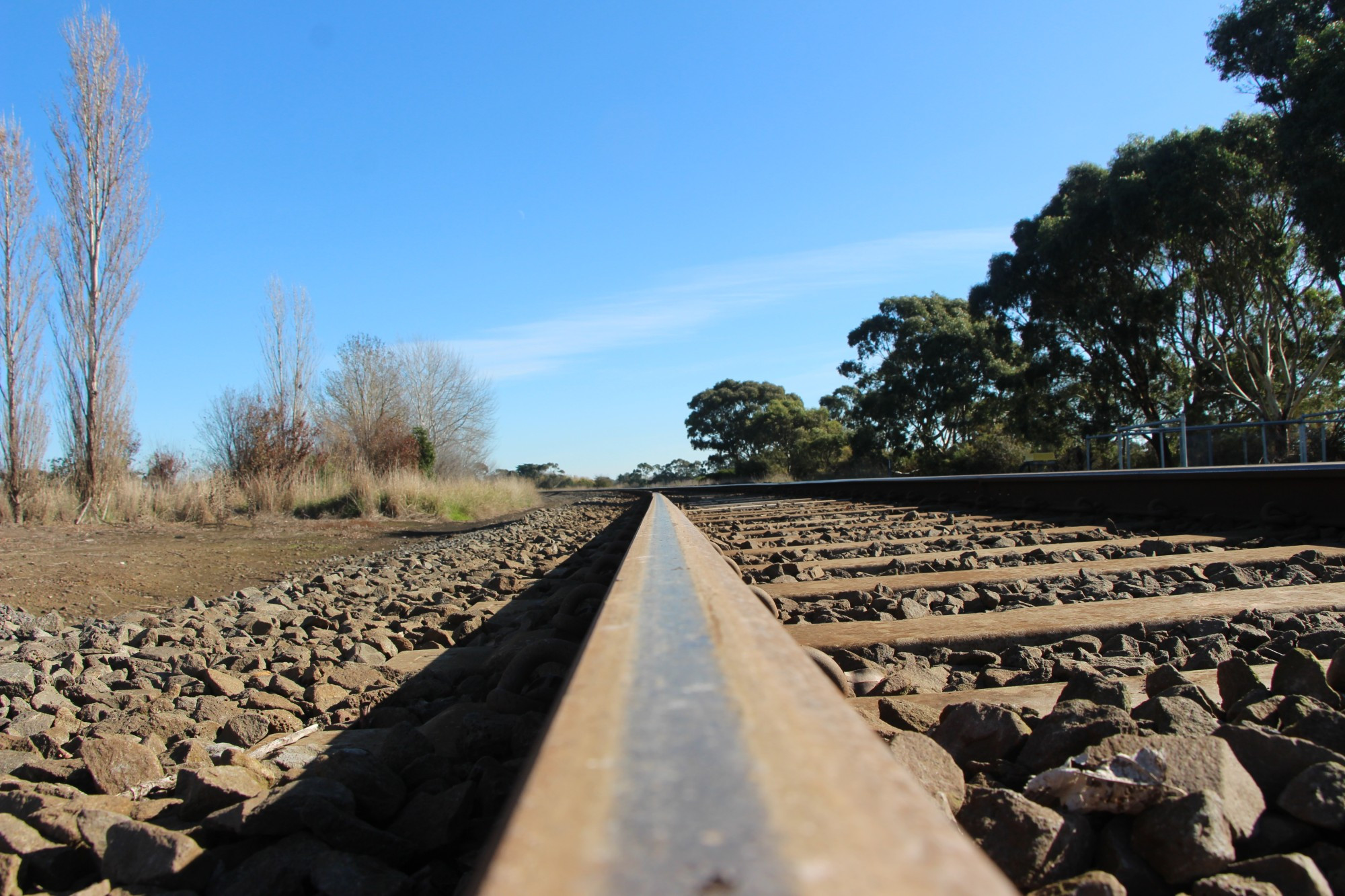 V/Line spent much of May performing upgrades to the Warrnambool line, which saw coaches largely replace train services. The train services which did run performed among the best in the state.