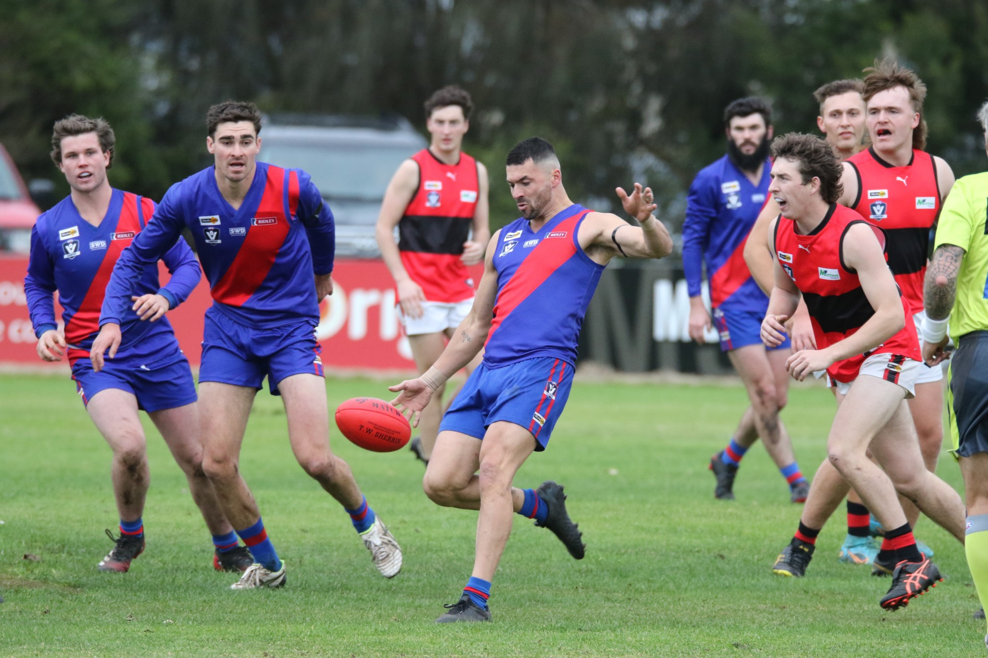 Milestone: Terang Mortlake half-back Gus Bourke had double the reason to celebrate last Saturday night when the Bloods took the win over Port.