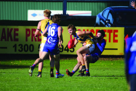 The Bloods battled to contain a rampant North Warrnambool. 
