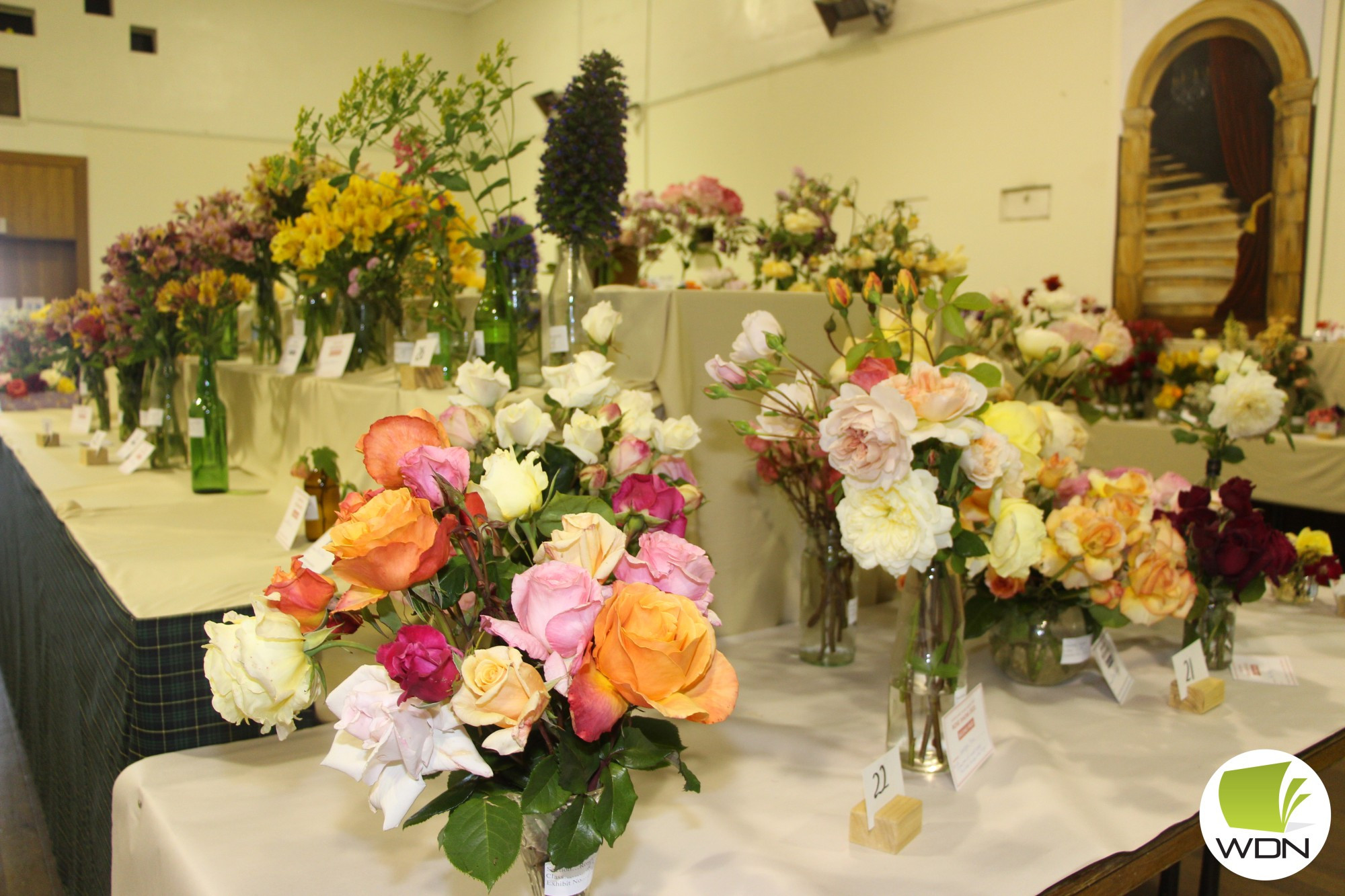 It’s back: The Mortlake Rose Show will be returning to normal this year after enduring two years of disruption during the pandemic.