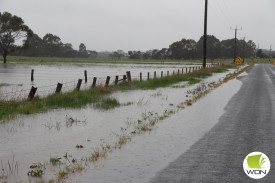 Terang-Framlingham Road. 