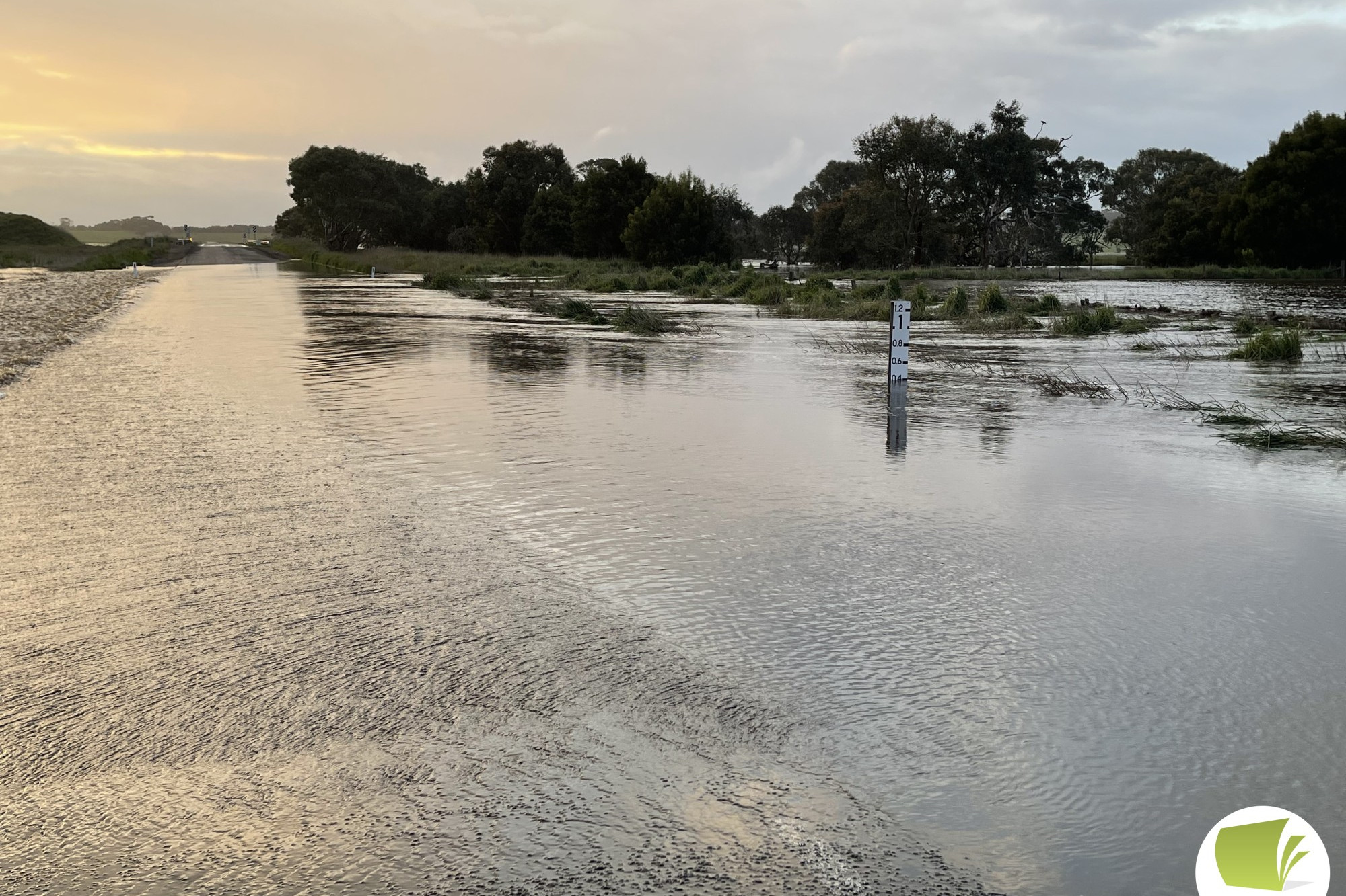 Connewarren Lane, just outside Mortlake, was completely flooded.